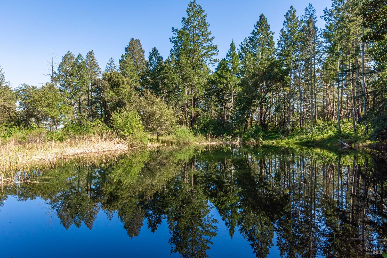 0 Dry Creek Road Napa, CA 94558 - Photo 63 of 98