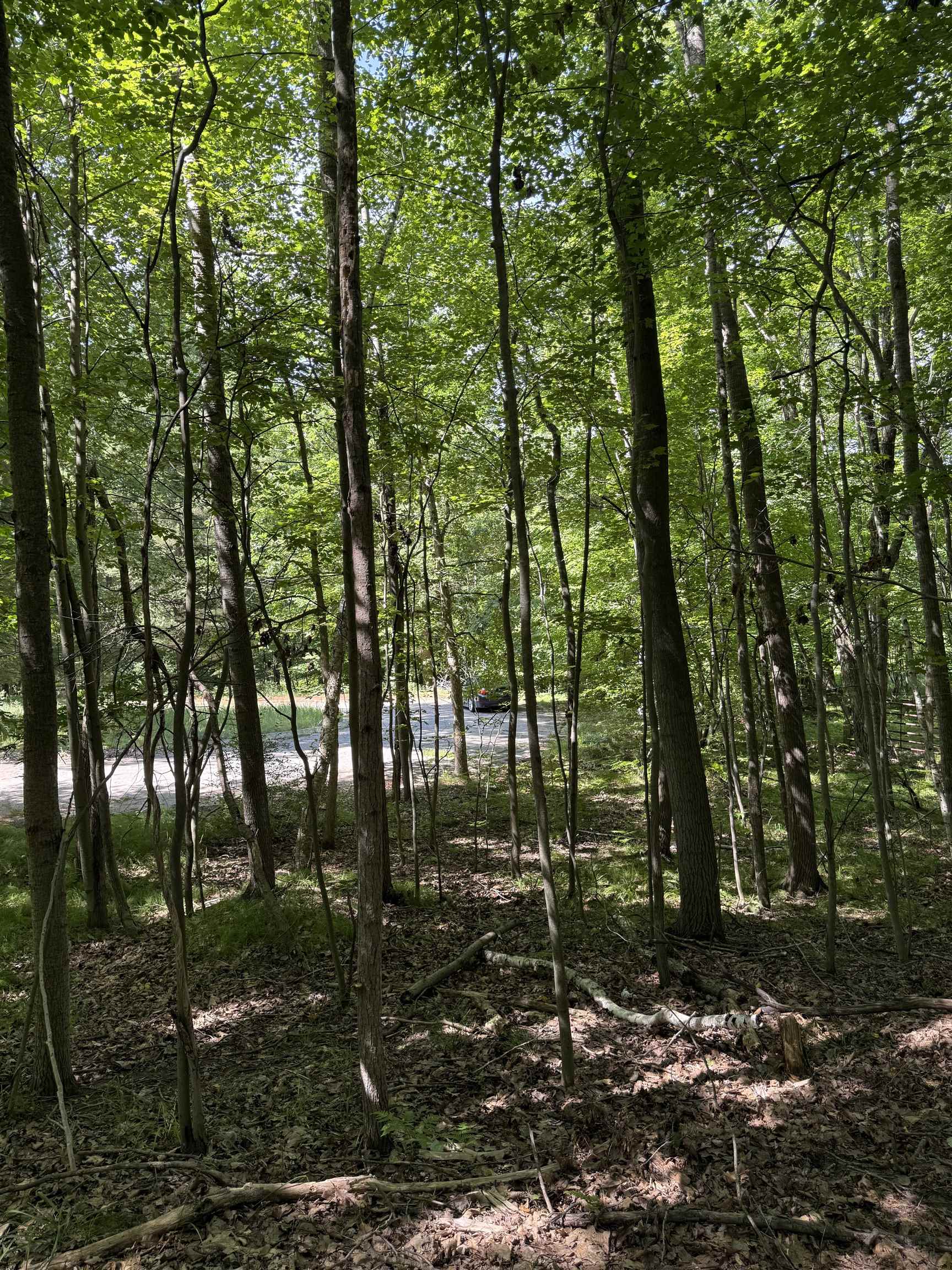 Tbd Rivers Edge Trail Mount Pleasant, MI 48858 - Photo 2 of 6 Gallery Image 2