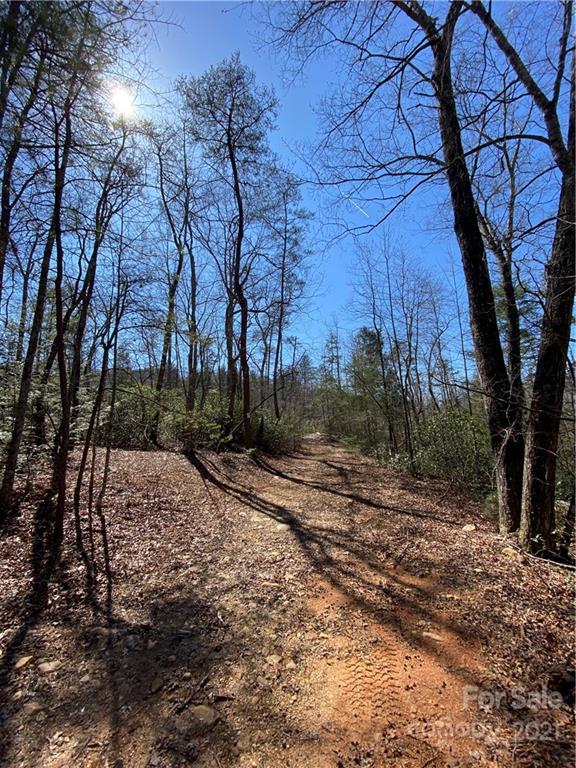 0 Henry Mccall Road, Unit 8 Marion, NC 28752 - Photo 8 of 12 Gallery Image 8