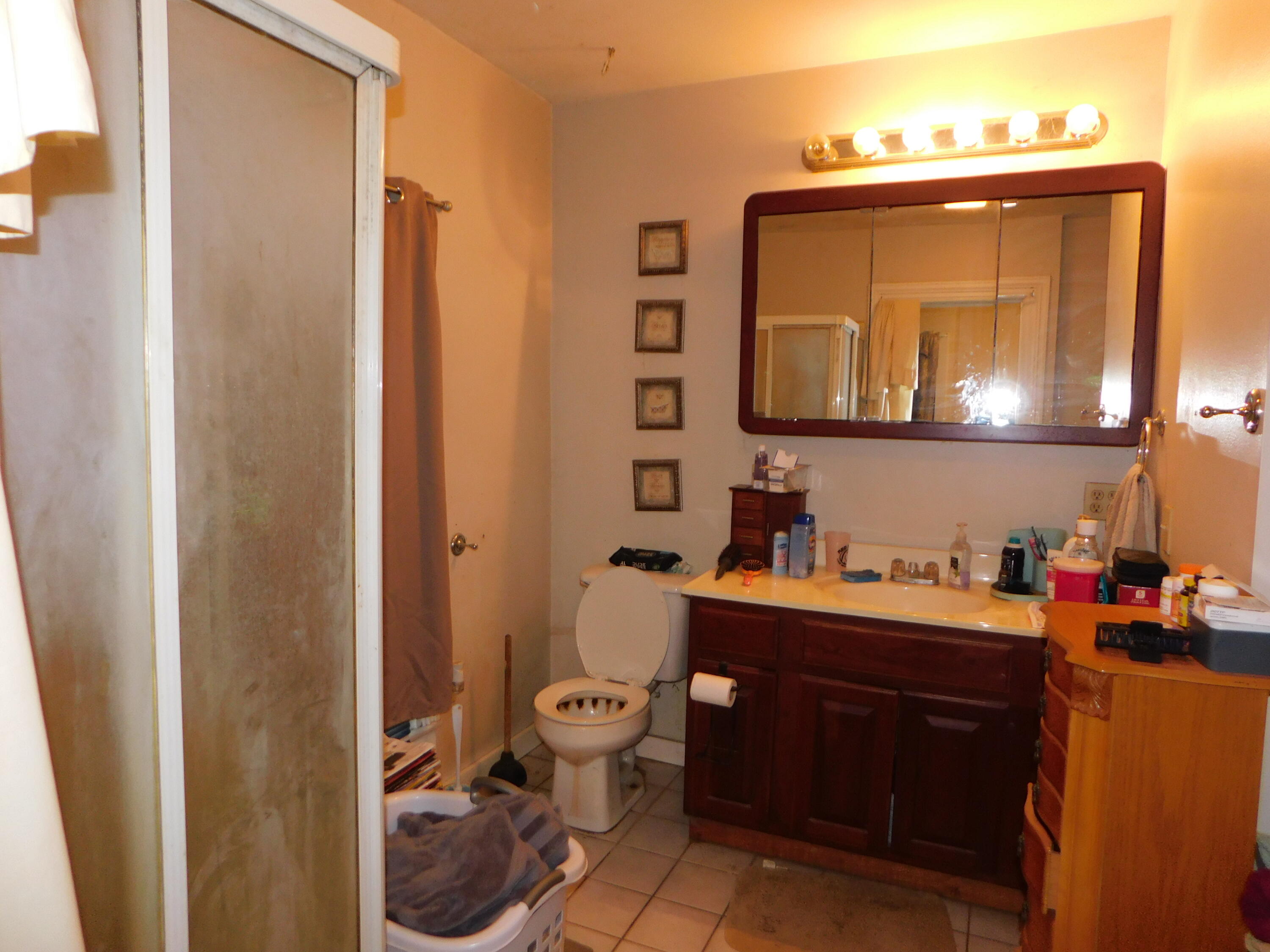 115 West Delaware Street Decatur, MI 49045 - Photo 8 of 13 walk in shower + SOAKER TUB