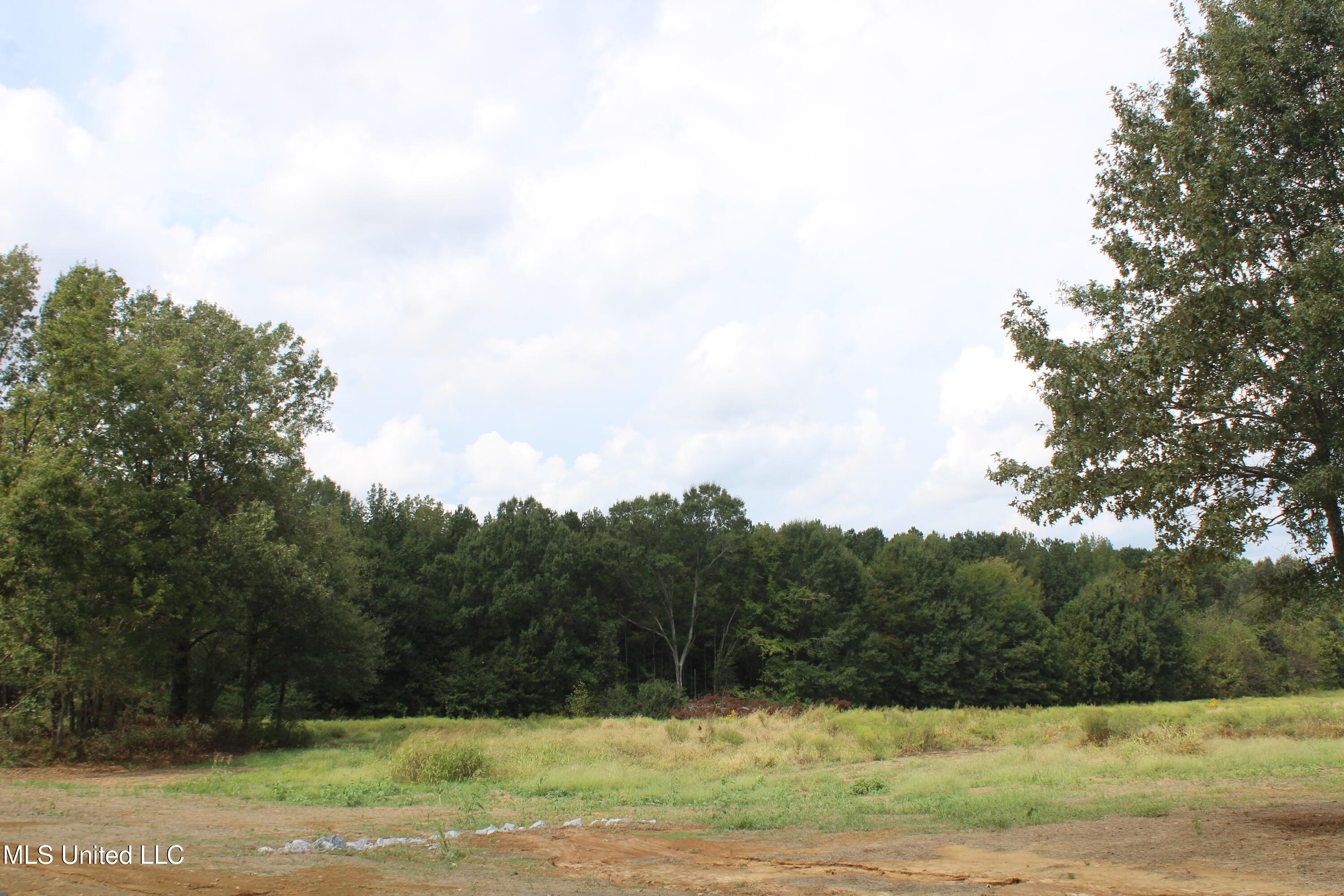 21 Hickory Hollow Road Coldwater, MS 38618 - Photo 64 of 70 IMG_6624
