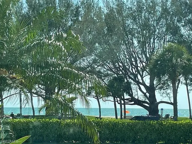 a view of a park with large trees