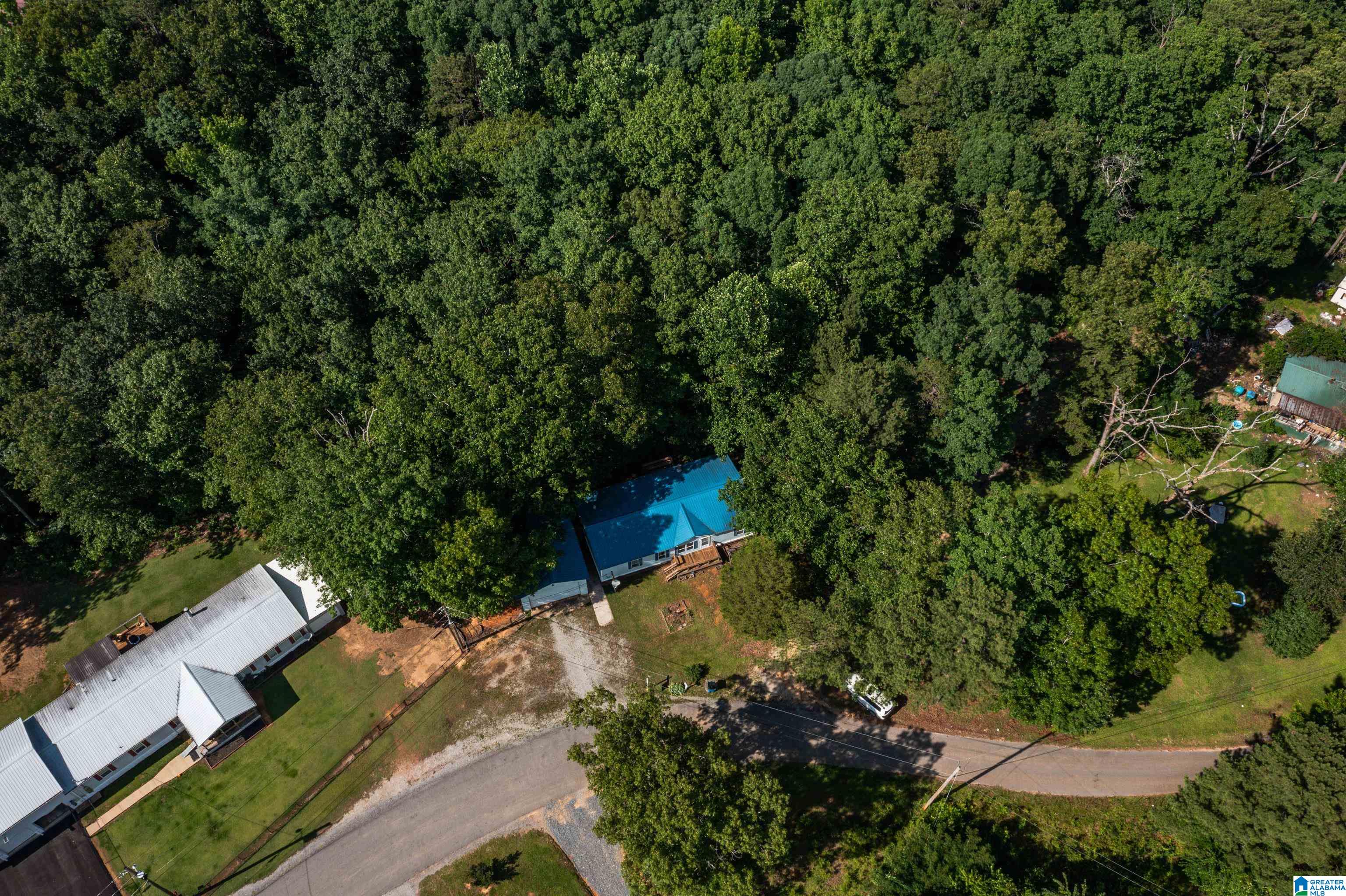 650 Davidson Drive Locust Fork, AL 35097 - Photo 55 of 55