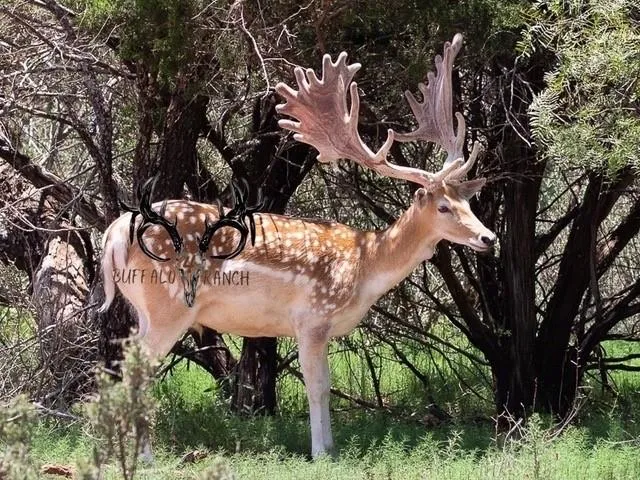 a view of an ocean beach and mountain