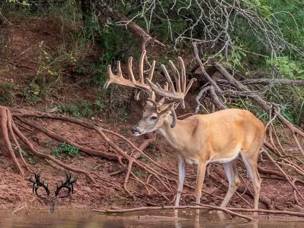 a view of city and ocean