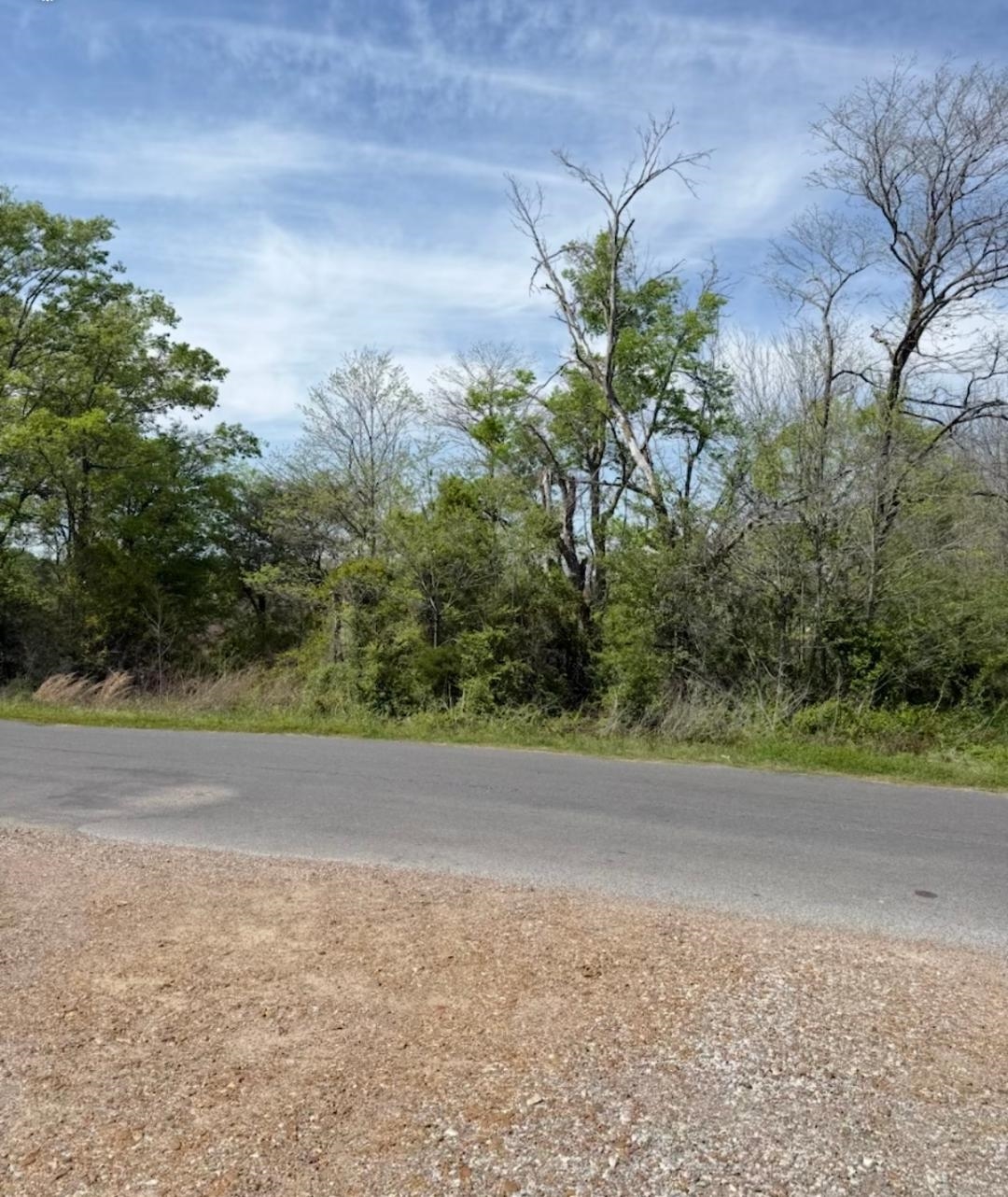 0 Swoop Road Drew, MS 38737 - Photo 14 of 15 View of road