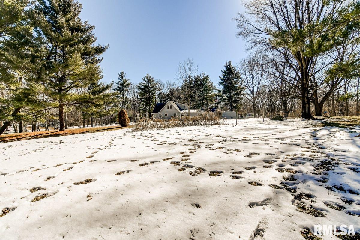 1061 Archer Elevator Road Springfield, IL 62711 - Photo 32 of 41