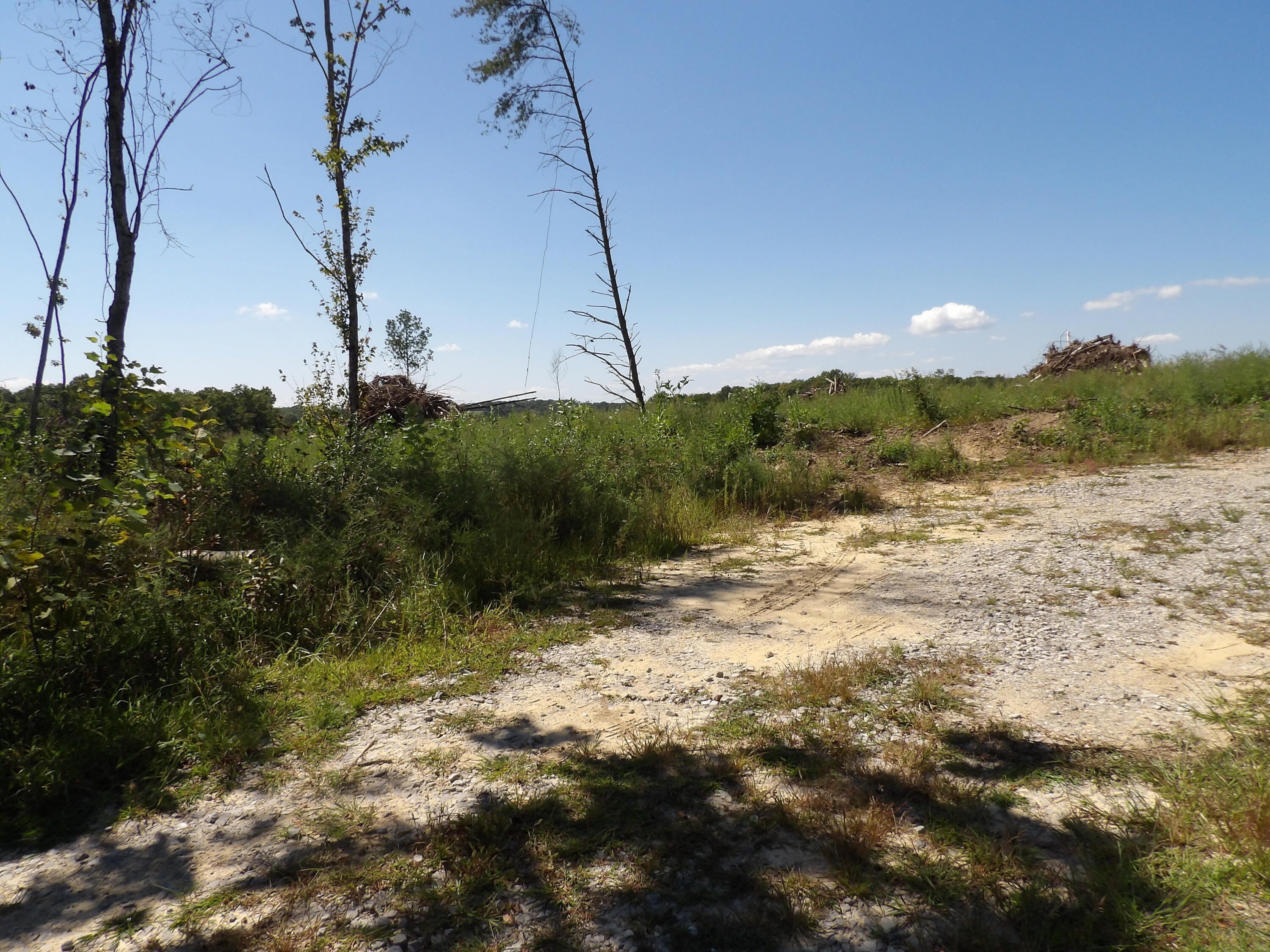 100 Summer City Road Evensville, TN 37332 - Photo 8 of 33 100_1933
