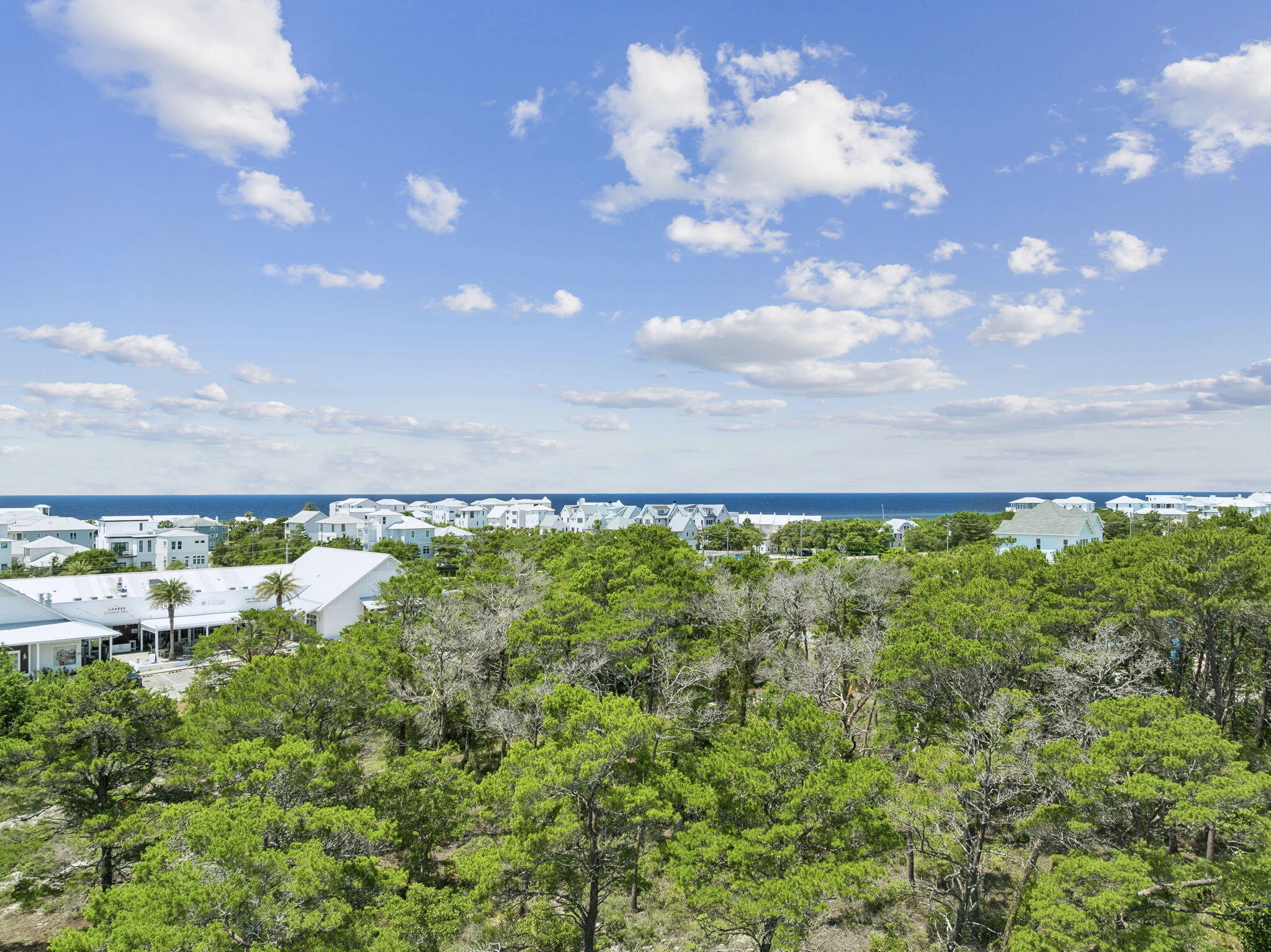 # Holly Leaf Lane Inlet Beach, FL 32461 - Photo 3 of 4 Array_52HollyLeafLn-10