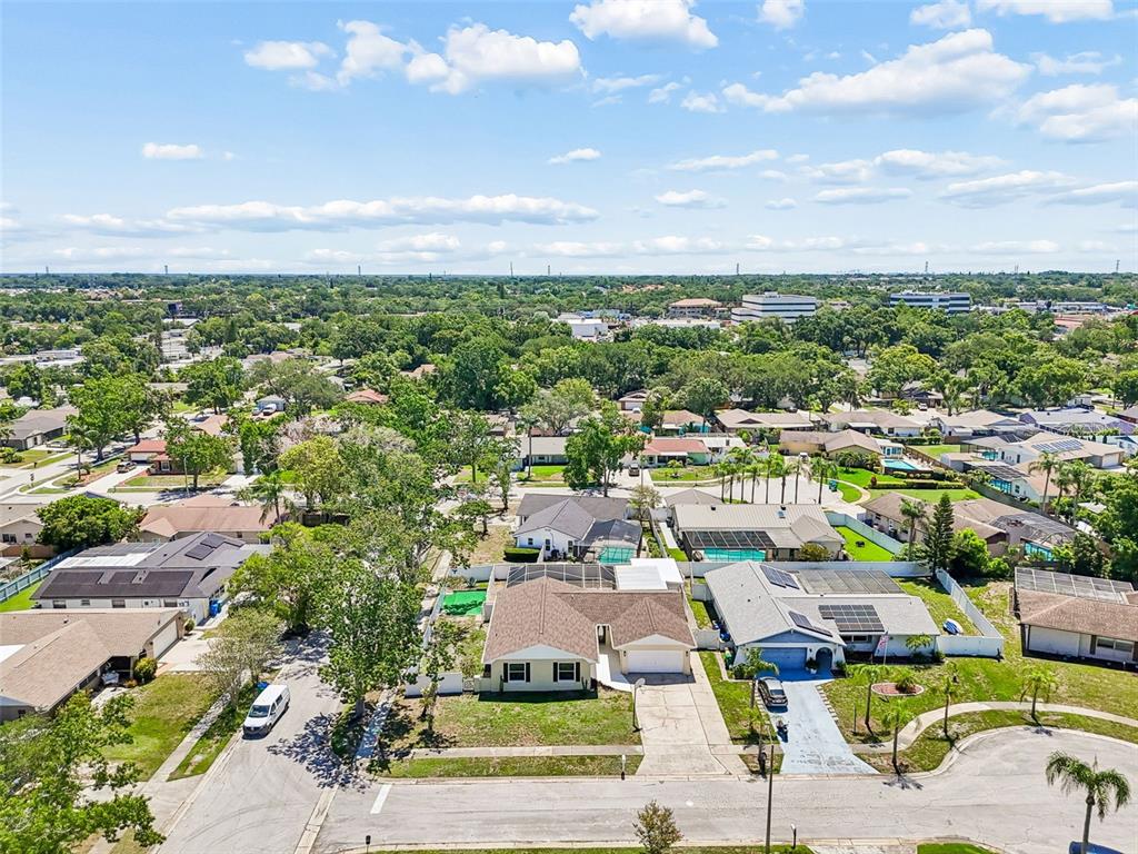 2959 Maple Court Dunedin, FL 34698 - Photo 12 of 63