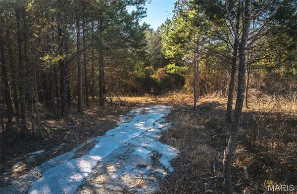 $70,000 | 10.4-acres Nichols Drive, Houston, MO 65483