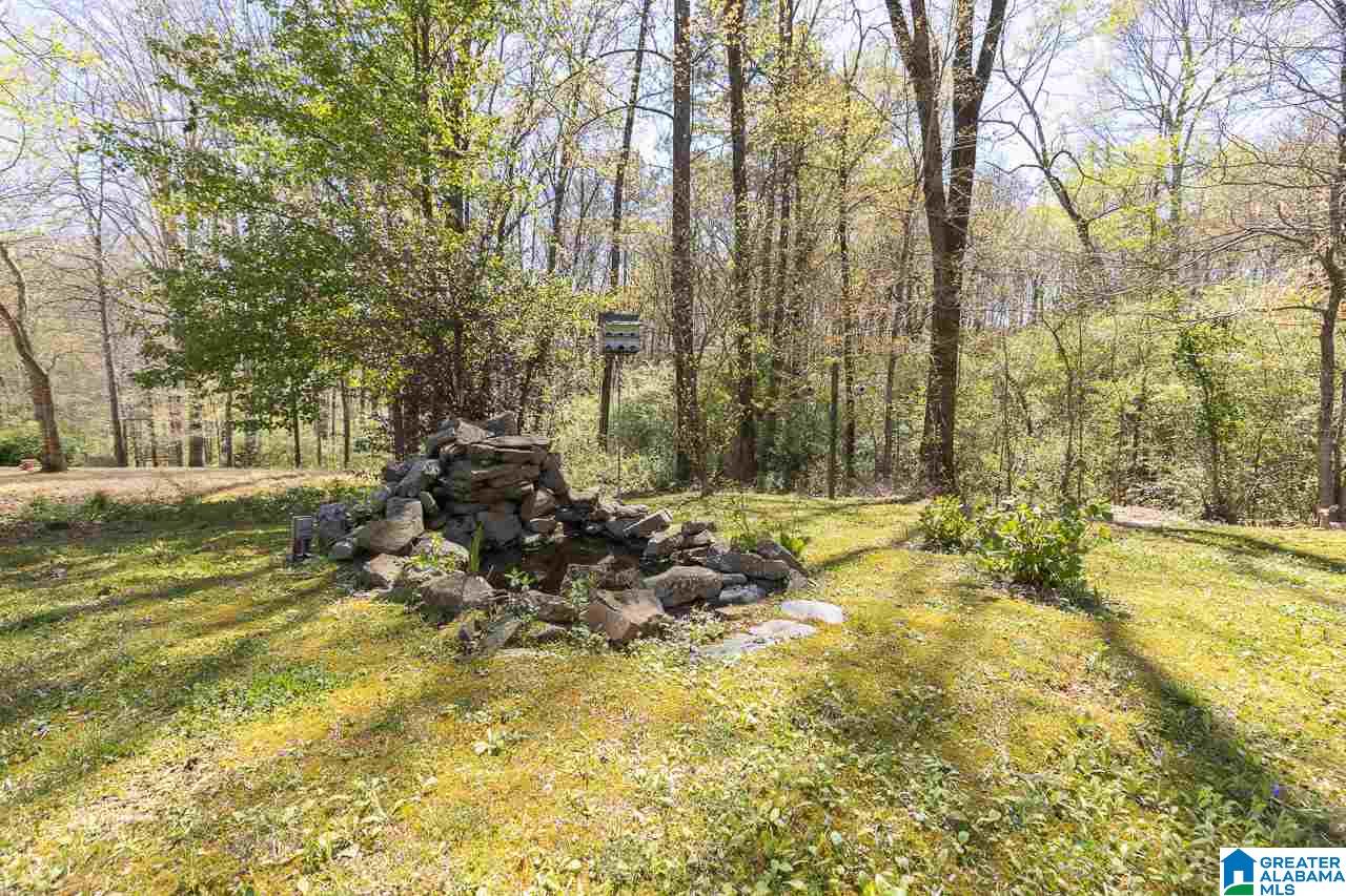93 Mountain Brook Springville, AL 35146 - Photo 27 of 32