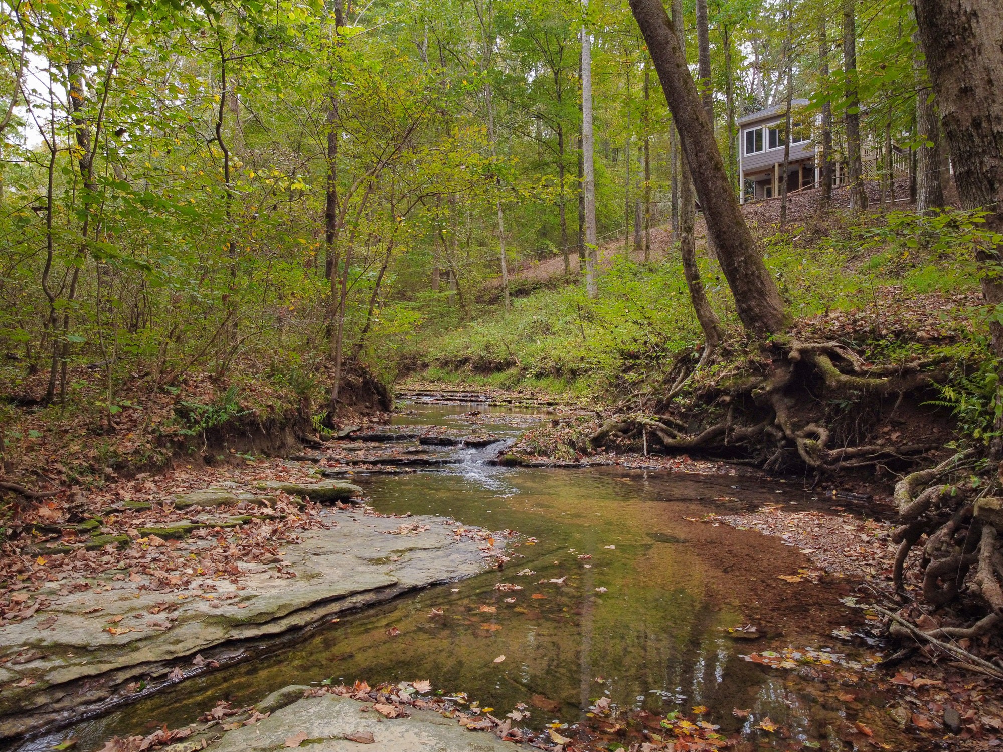 1310 Dawson Road White Bluff, TN 37187 - Photo 1 of 41 Gallery Image 1
