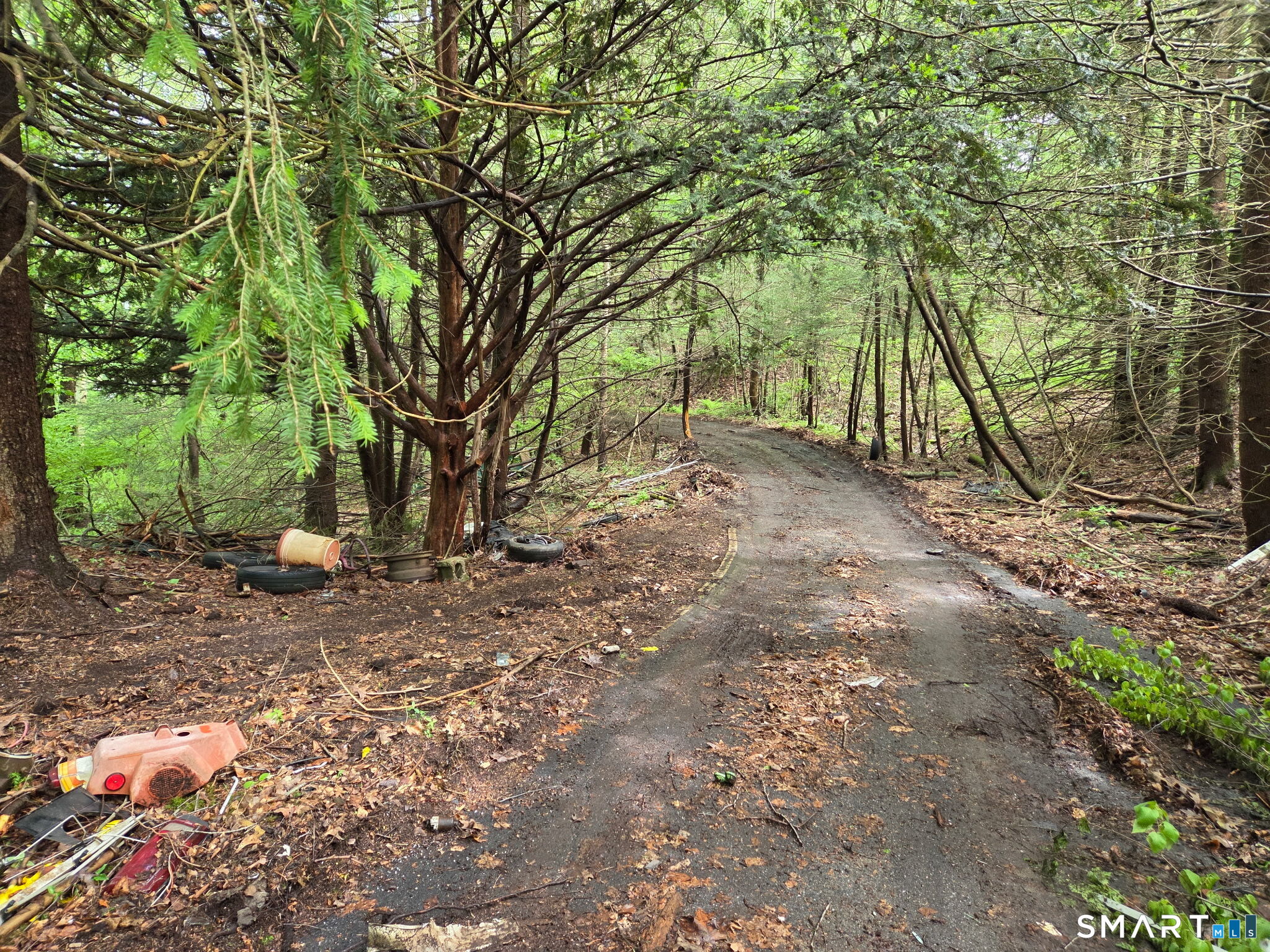 Davis Road Harwinton, CT 06791 - Photo 5 of 11 a view of backyard with large trees