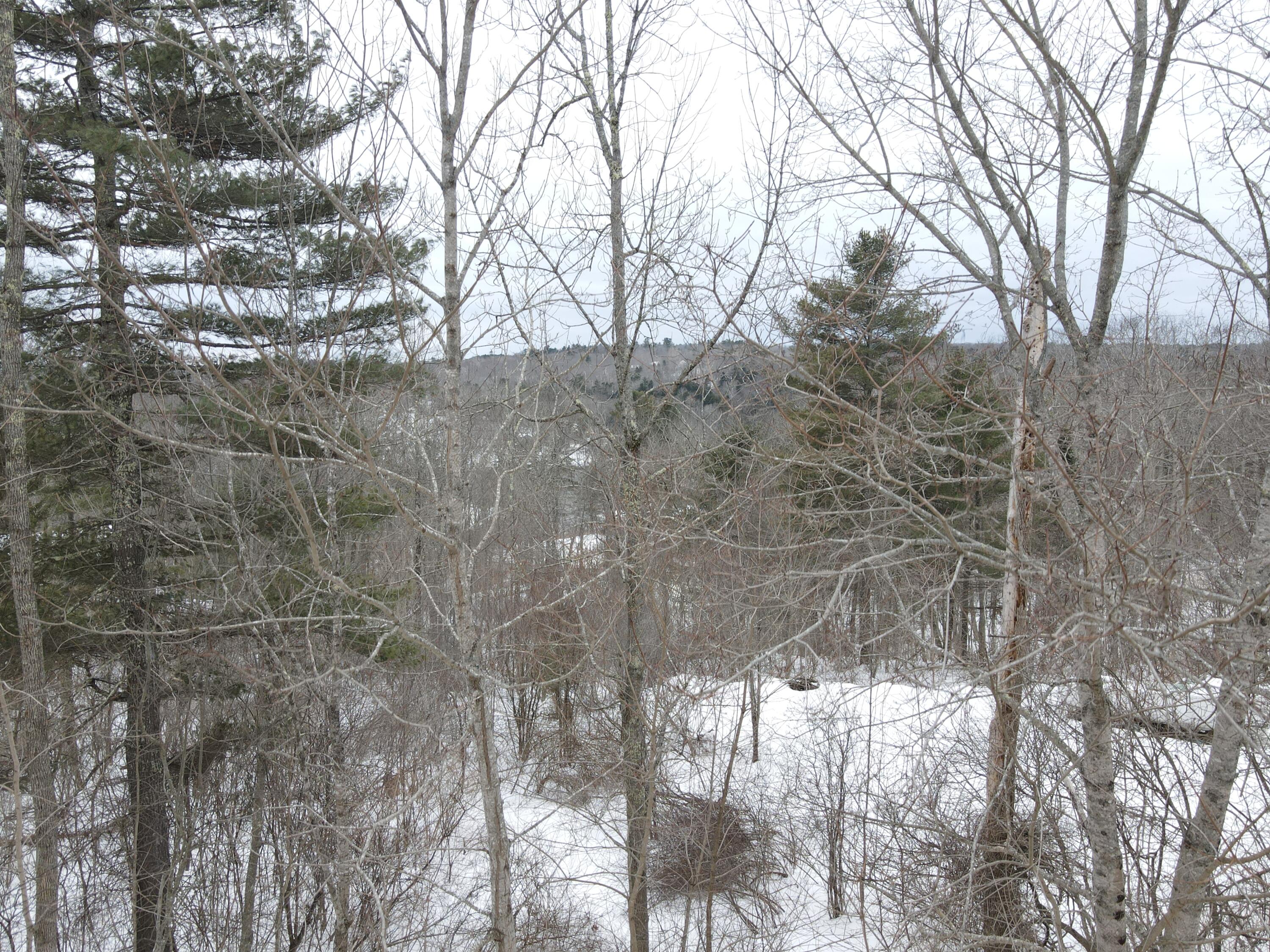 0 Patterson Hill Road, Unit LOT 2 Belfast, ME 04915 - Photo 25 of 32 2025-02-24 14.56.28