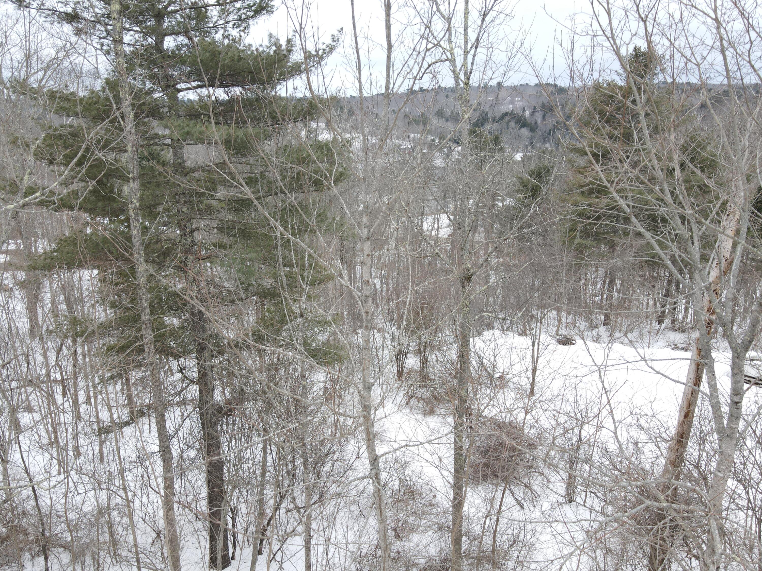 0 Patterson Hill Road, Unit LOT 2 Belfast, ME 04915 - Photo 26 of 32 2025-02-24 14.56.34