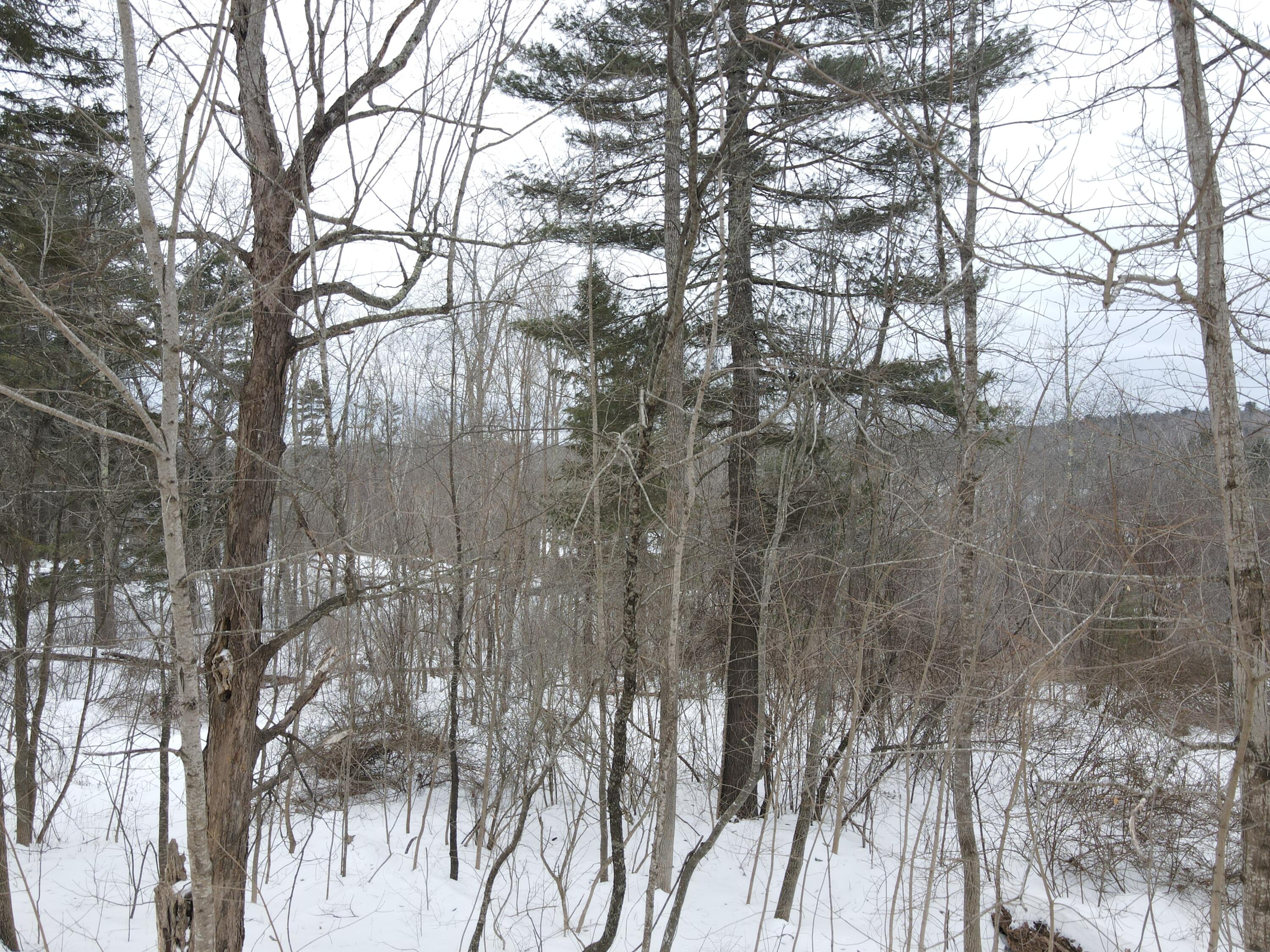 0 Patterson Hill Road, Unit LOT 2 Belfast, ME 04915 - Photo 27 of 32 2025-02-24 14.56.42
