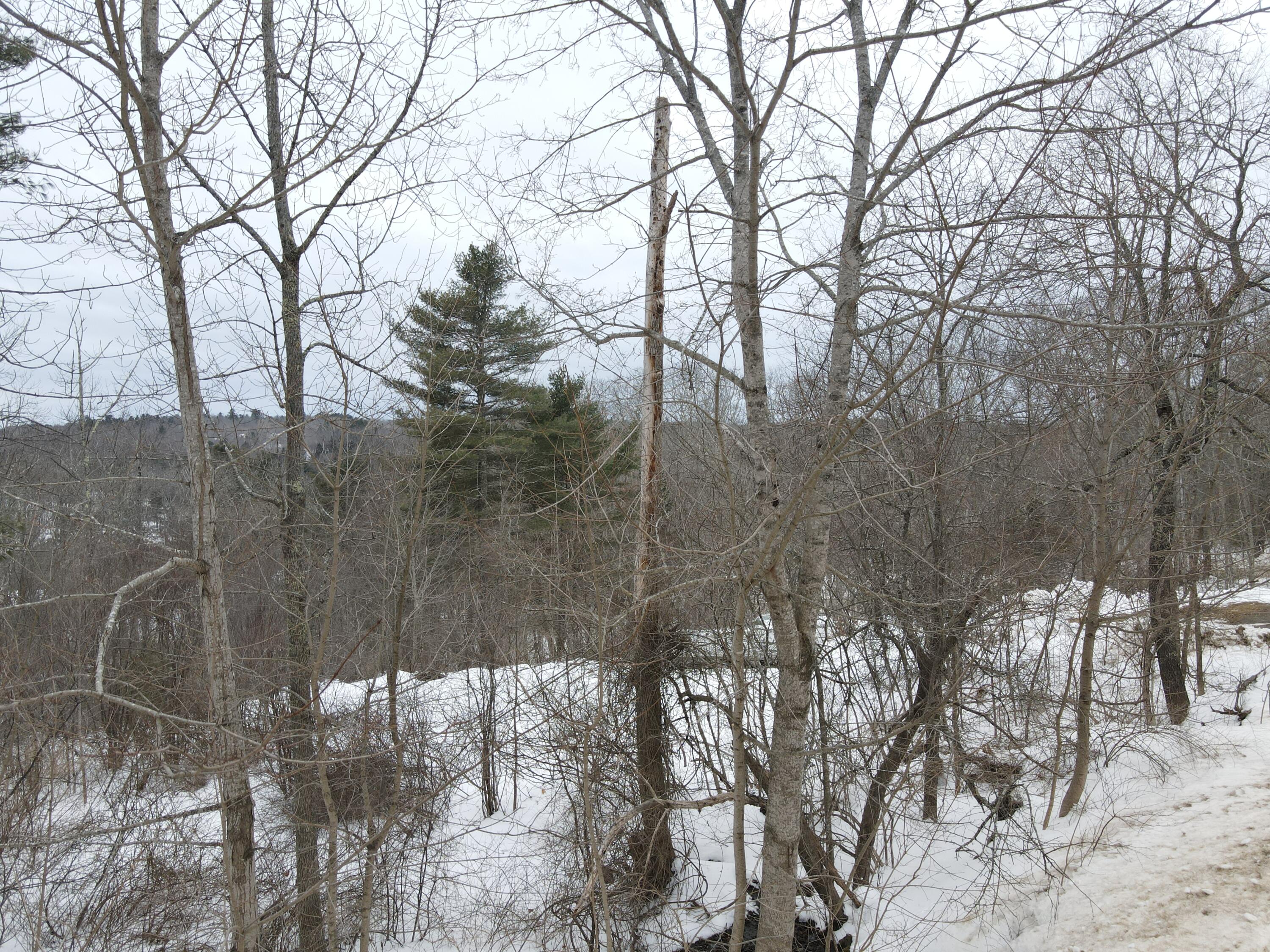 0 Patterson Hill Road, Unit LOT 2 Belfast, ME 04915 - Photo 28 of 32 2025-02-24 14.56.46