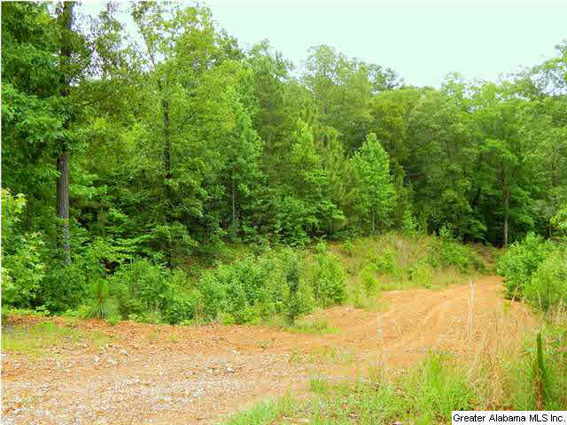High Hampton Drive, Unit 80A Pelham, AL 35124 - Photo 2 of 3