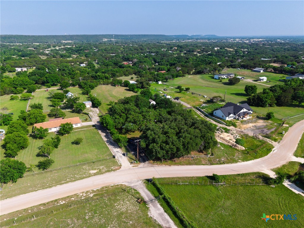 2739 Willow Loop Kempner, TX 76539 - Photo 26 of 30 an aerial view of residential houses with outdoor space and trees