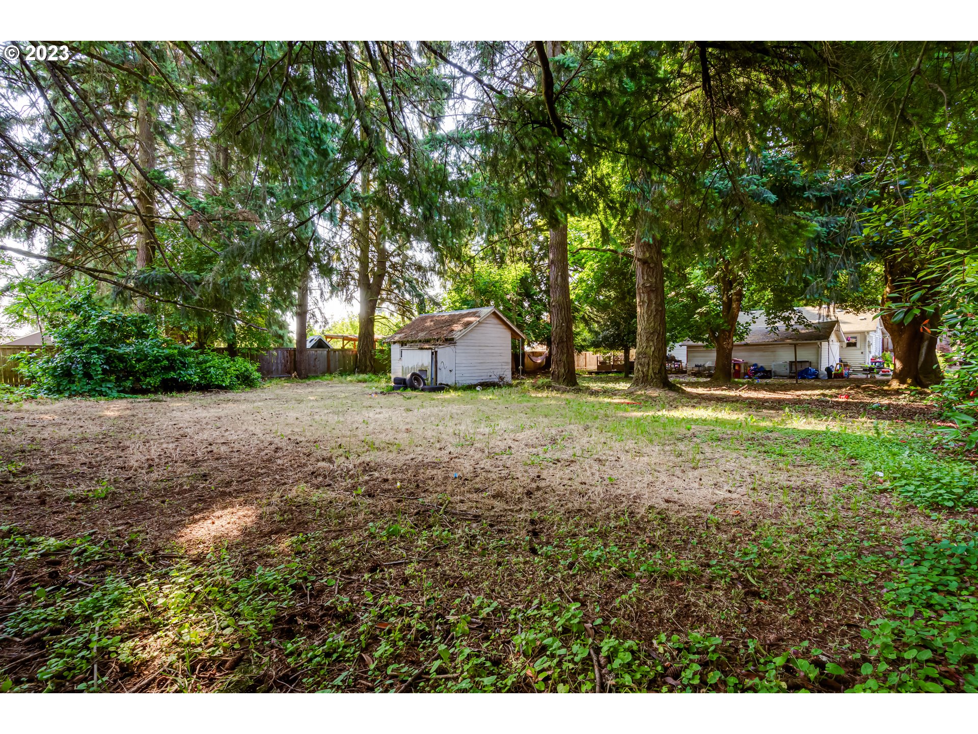Cal Young Eugene, OR 97401 - Photo 3 of 9 a view of a yard with large trees