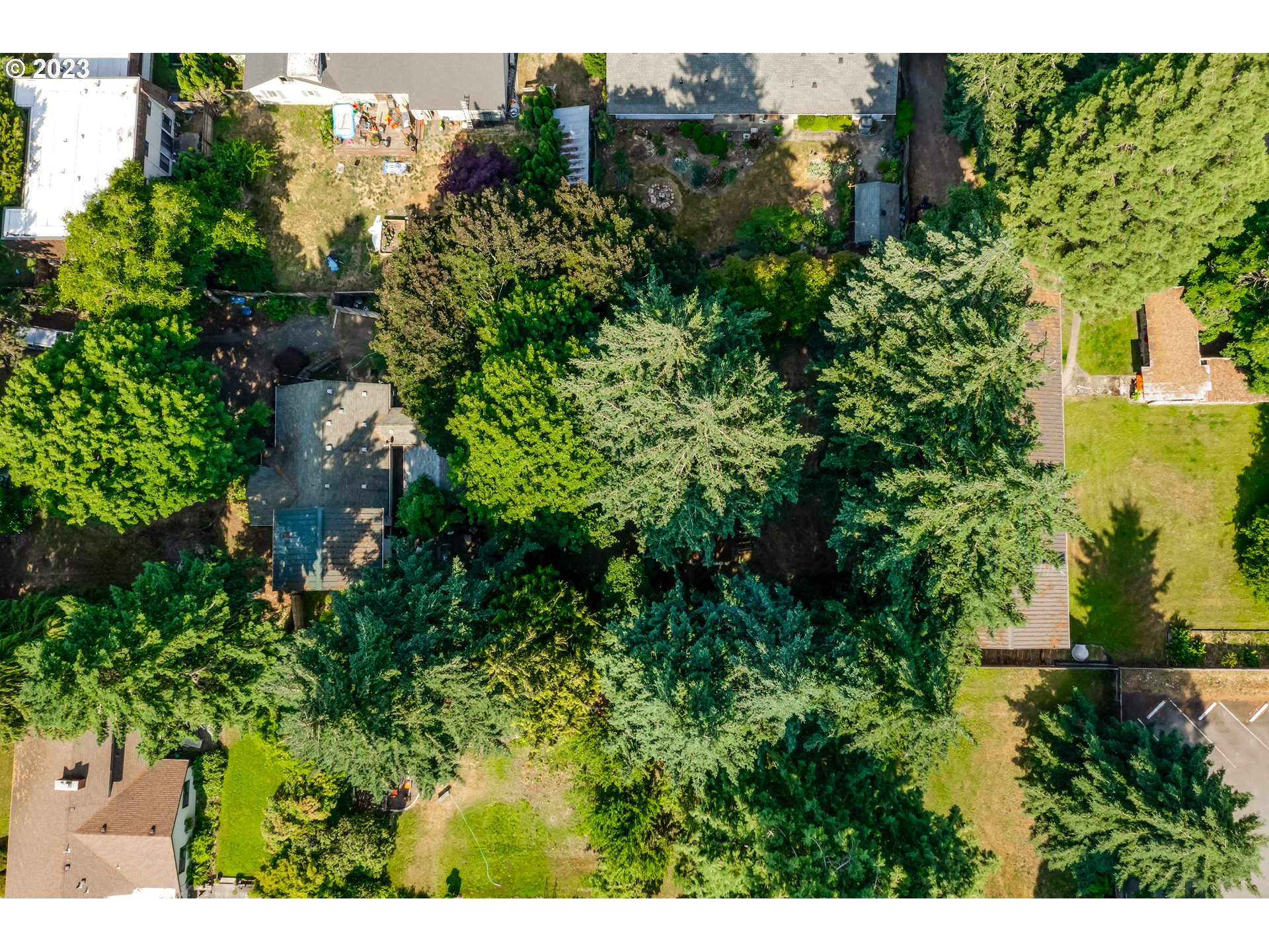 Cal Young Eugene, OR 97401 - Photo 6 of 9