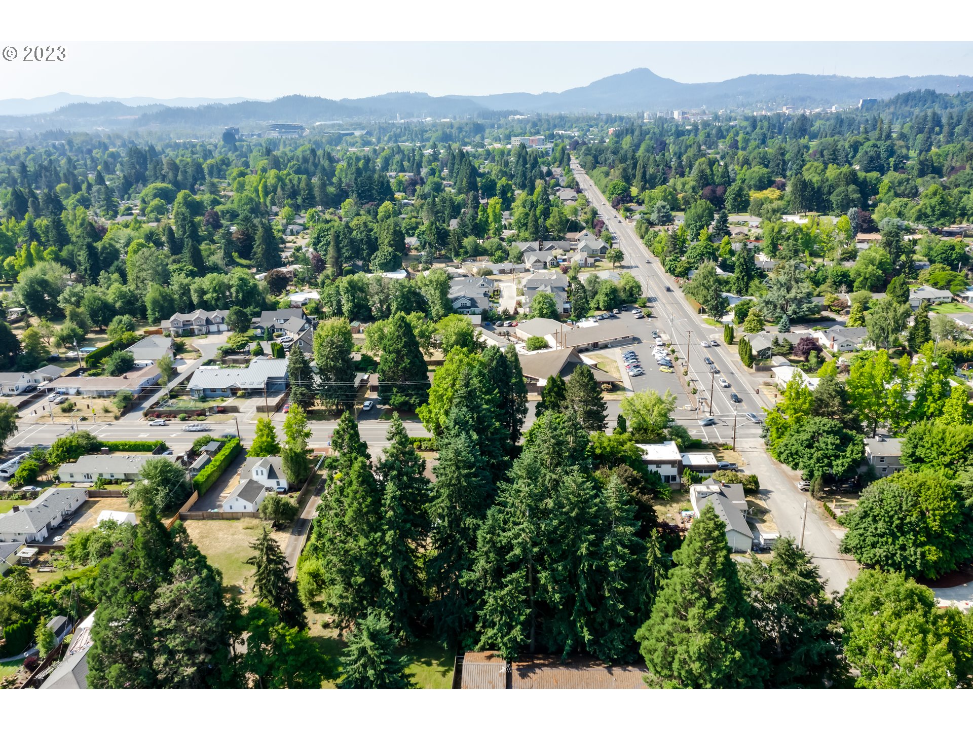 Cal Young Eugene, OR 97401 - Photo 7 of 9 a view of a city with lush green forest