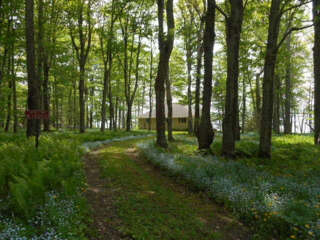W19003 East Needle Pointe Road Germfask, MI 49836 - Photo 12 of 40 Gallery Image 12