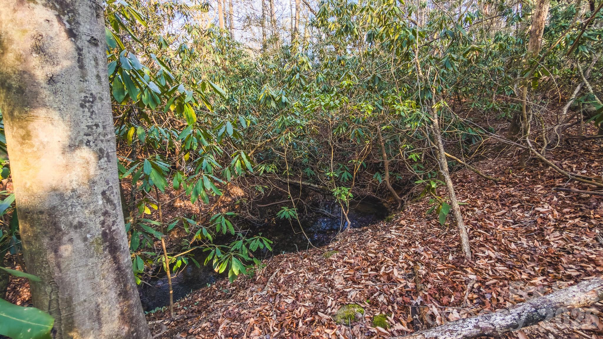 Tbd All Healing Springs Road, Unit 1 Taylorsville, NC 28681 - Photo 13 of 20 a backyard of a house with lots of plants and trees