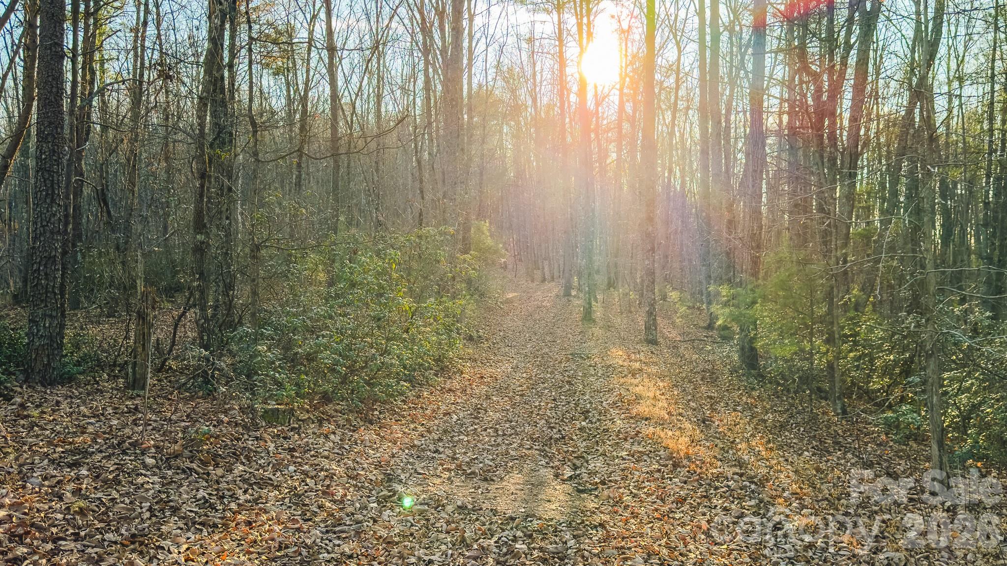 Tbd All Healing Springs Road, Unit 1 Taylorsville, NC 28681 - Photo 17 of 20