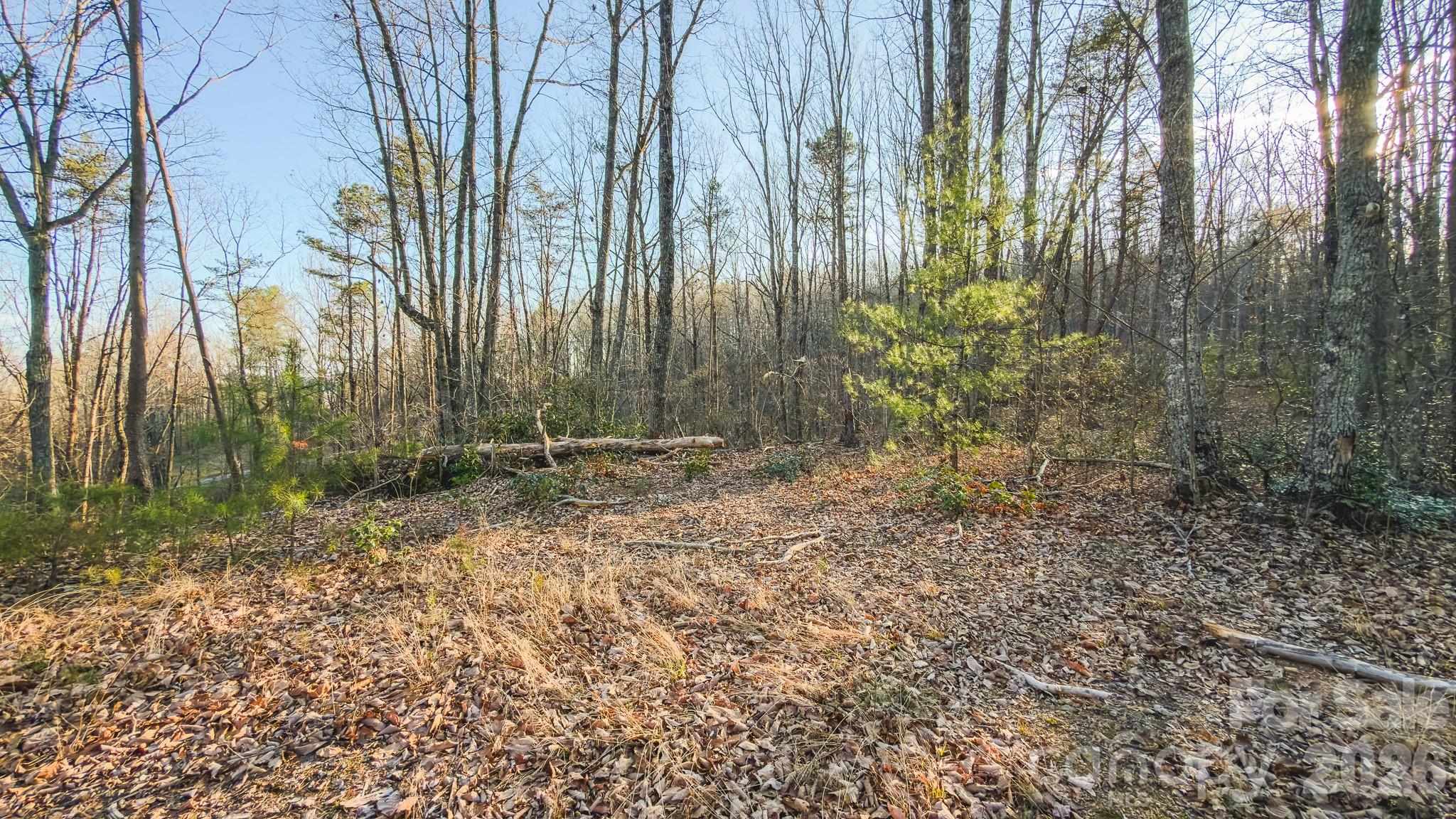 Tbd All Healing Springs Road, Unit 1 Taylorsville, NC 28681 - Photo 18 of 20 a view of a backyard