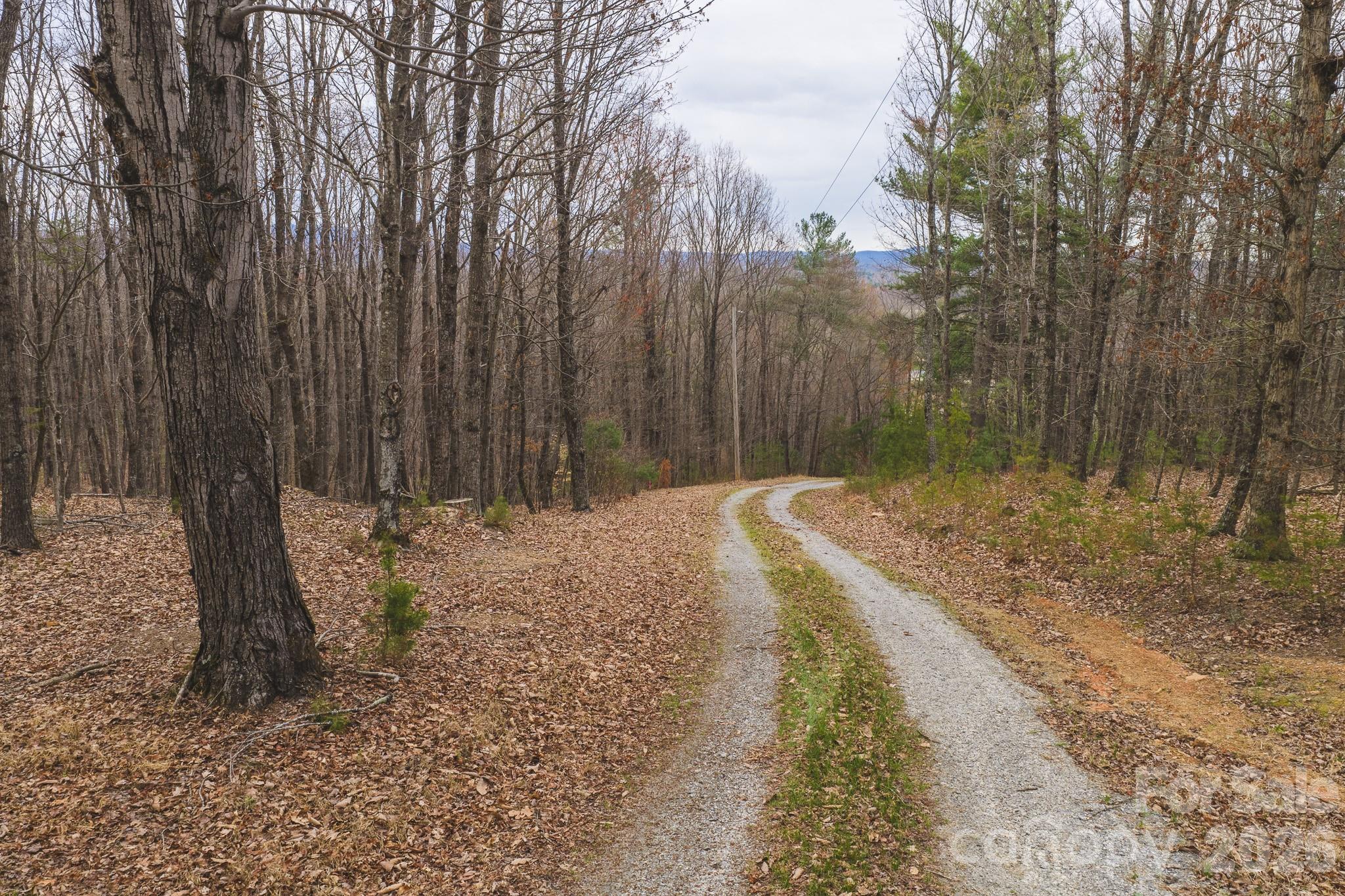 Tbd All Healing Springs Road, Unit 1 Taylorsville, NC 28681 - Photo 2 of 20 a backyard of a house with large trees
