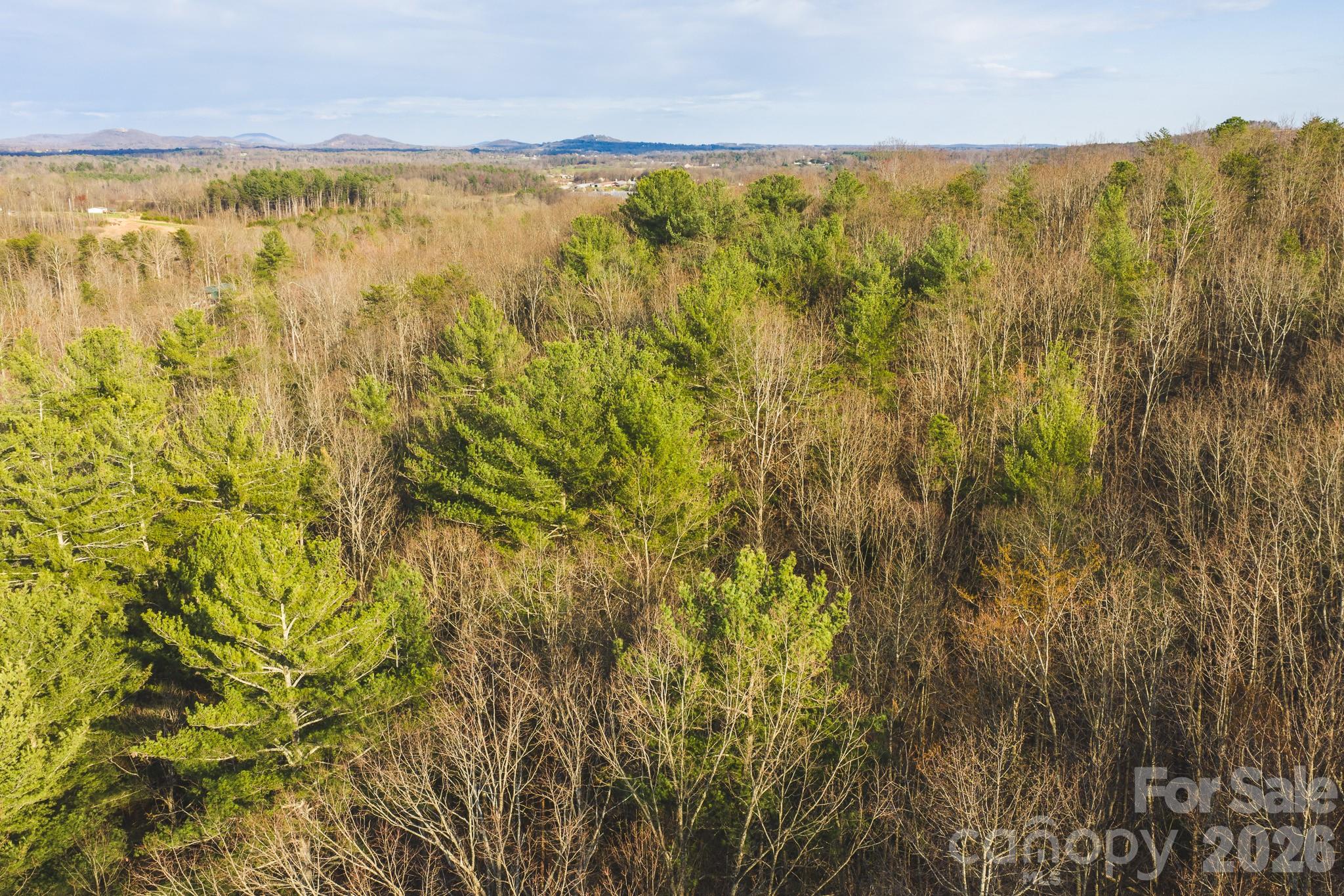 Tbd All Healing Springs Road, Unit 1 Taylorsville, NC 28681 - Photo 6 of 20