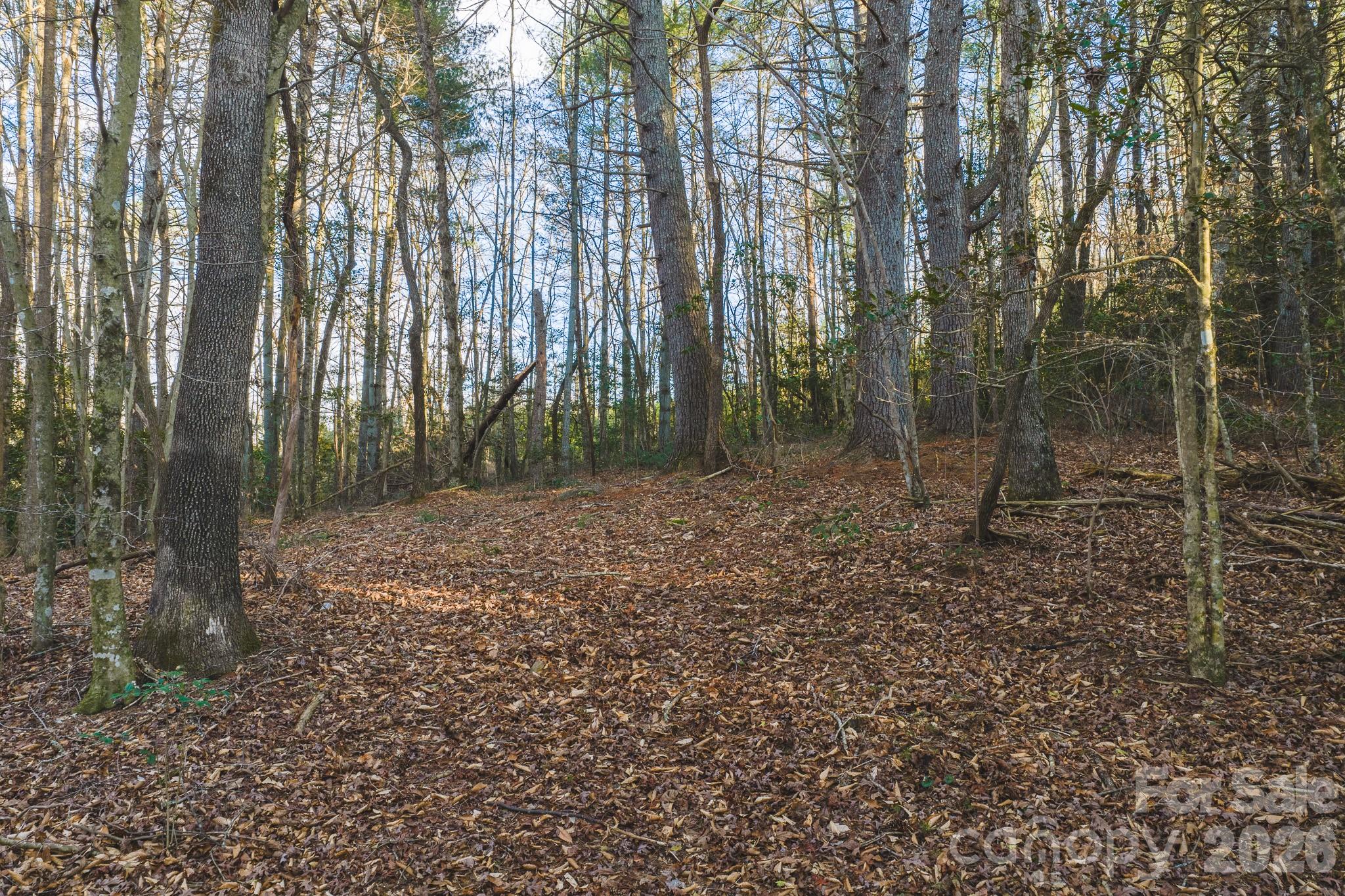 Tbd All Healing Springs Road, Unit 1 Taylorsville, NC 28681 - Photo 8 of 20 a backyard of a house with lots of green space