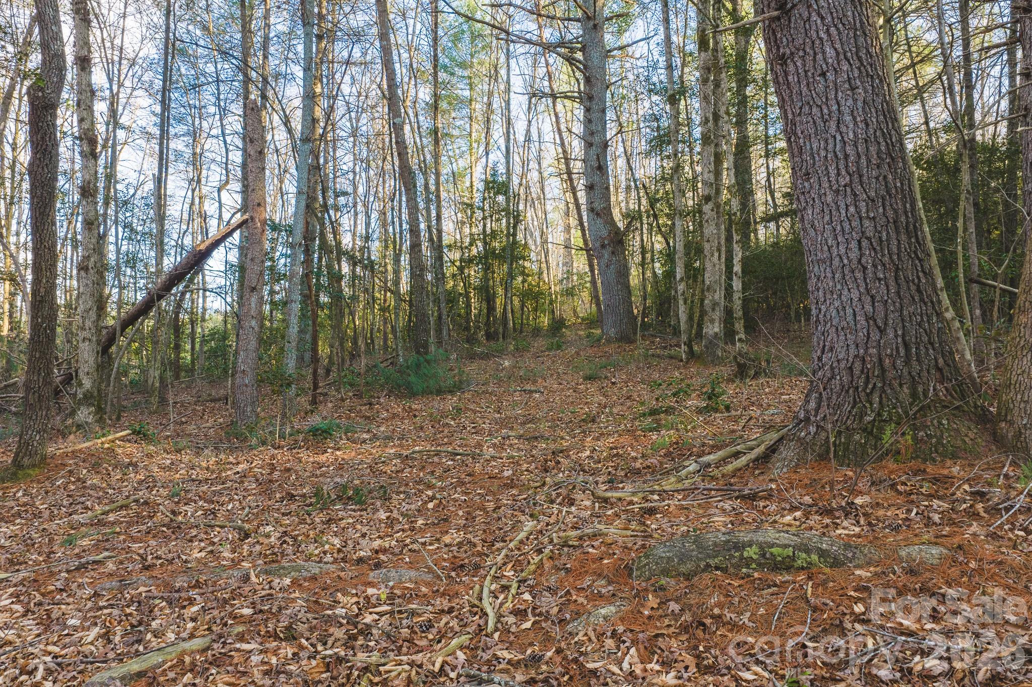 Tbd All Healing Springs Road, Unit 1 Taylorsville, NC 28681 - Photo 9 of 20 a backyard of a house with lots of green space