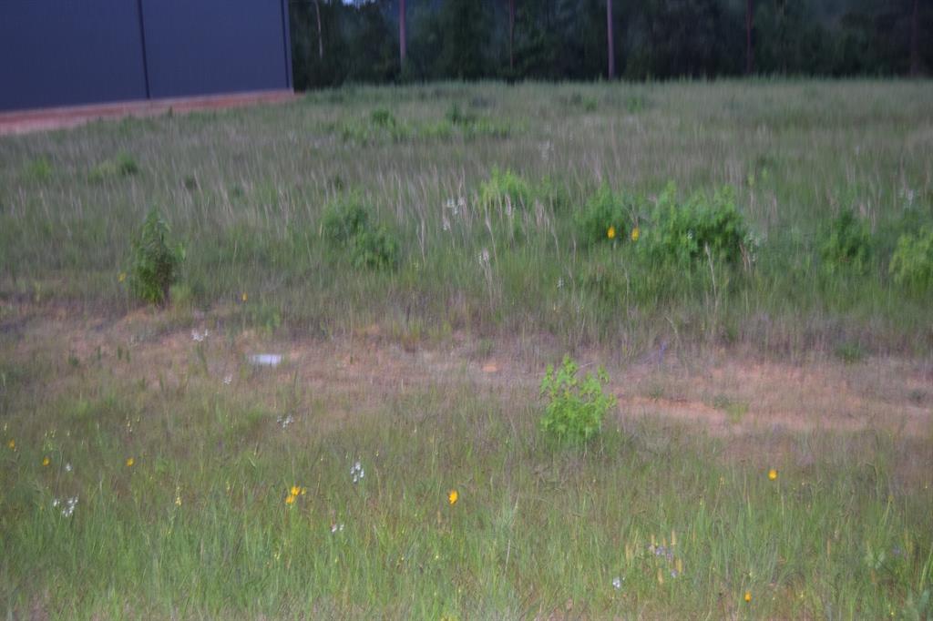 6 B Ryan's Way Minden, LA 71055 - Photo 2 of 4 a view of a garden