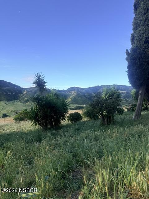 6968 Cat Canyon Road Santa Maria, CA 93454 - Photo 64 of 68 IMG_6411