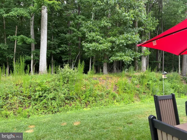 a view of backyard with green space