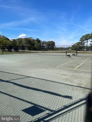 front view of a house with a tree