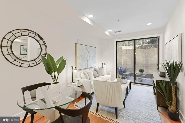 a living room with furniture a window and a potted plant