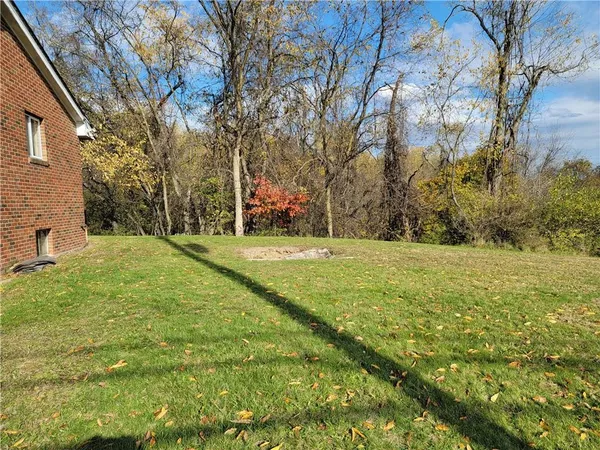 a view of a field with tree s