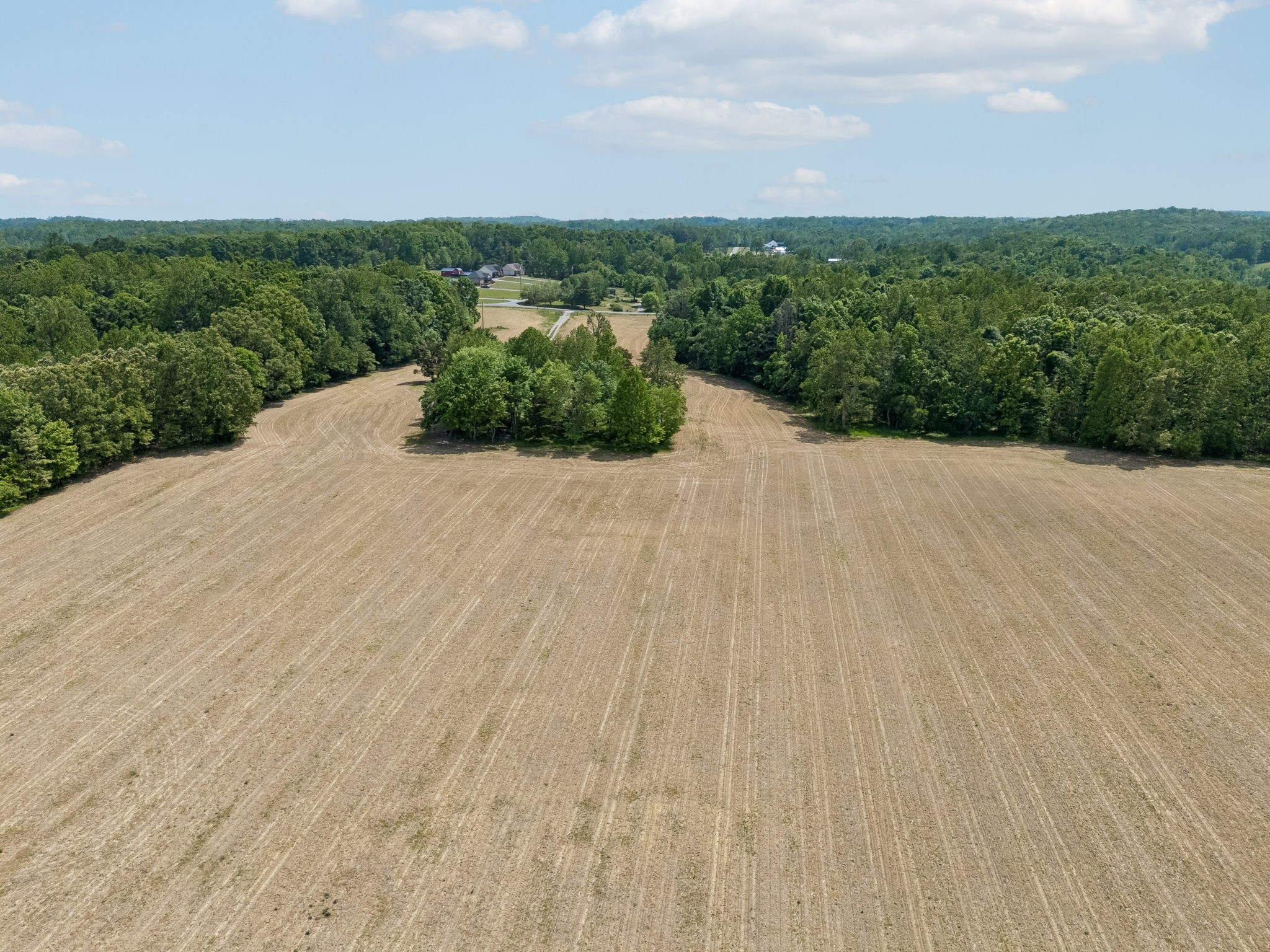 473 Hickory Corner Road Bethpage, TN 37022 - Photo 15 of 45 a view of a dry yard with wooden fence