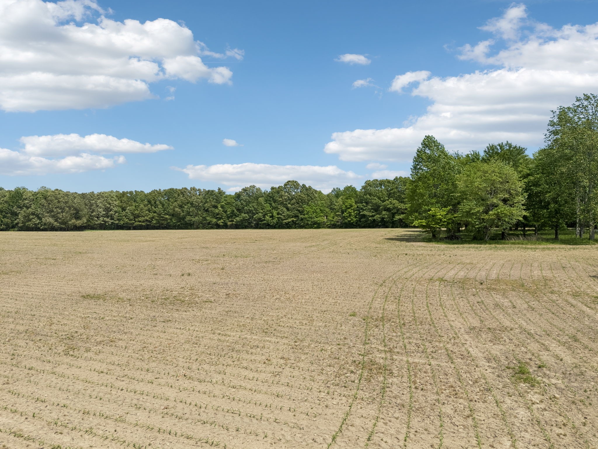 473 Hickory Corner Road Bethpage, TN 37022 - Photo 17 of 45 a view of a lake