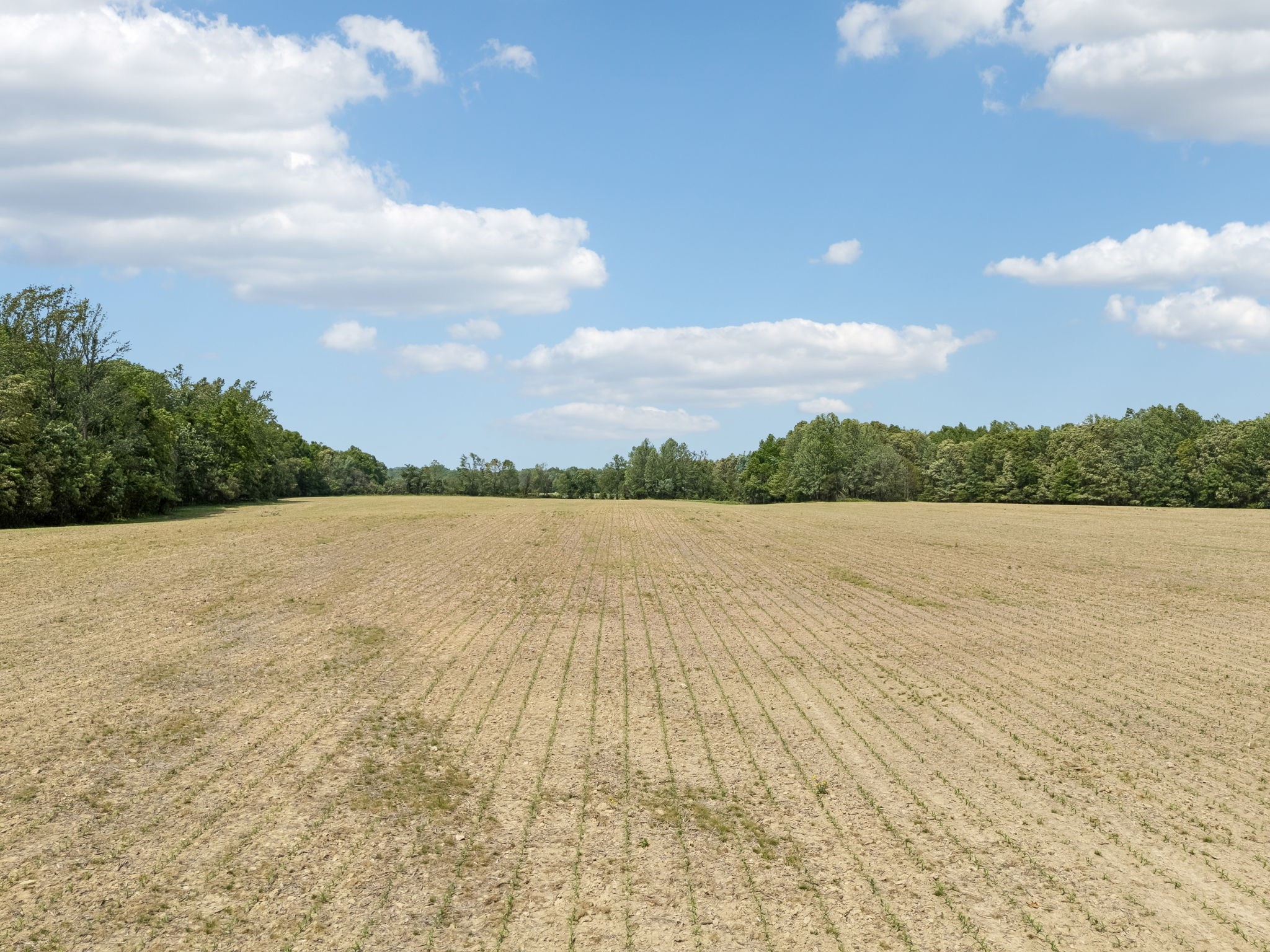 473 Hickory Corner Road Bethpage, TN 37022 - Photo 19 of 45