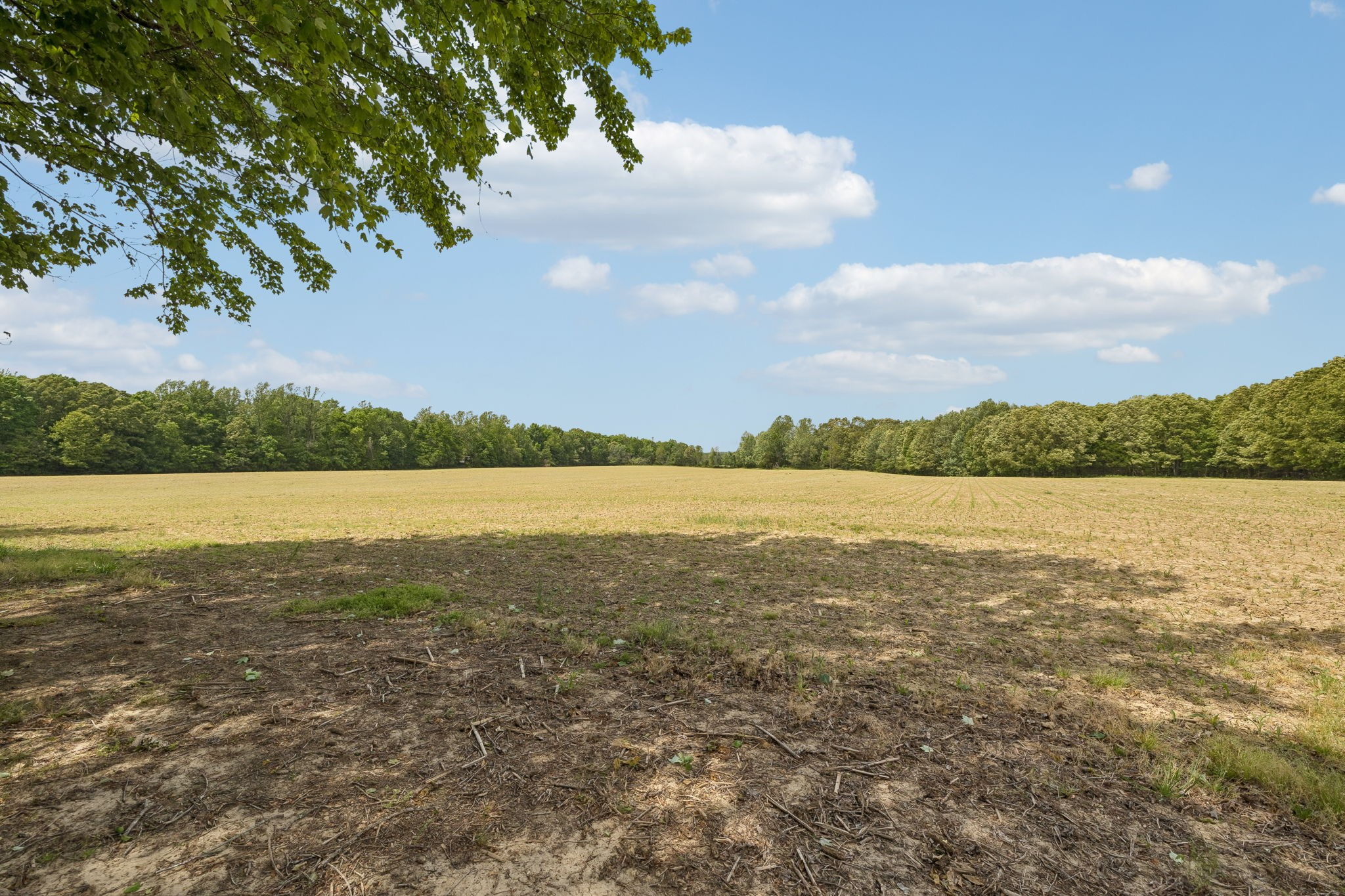 473 Hickory Corner Road Bethpage, TN 37022 - Photo 24 of 45 a view of a lake with houses in the background