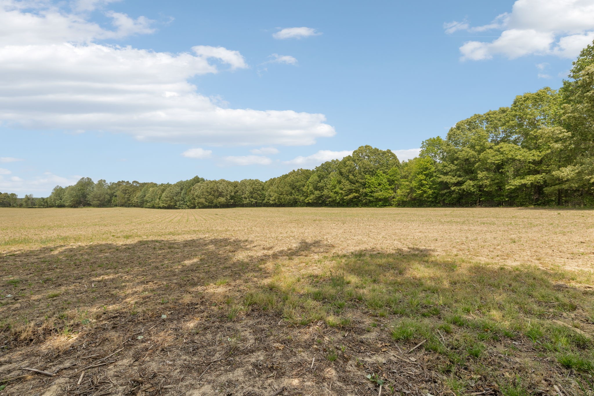 473 Hickory Corner Road Bethpage, TN 37022 - Photo 25 of 45 a view of a lake view