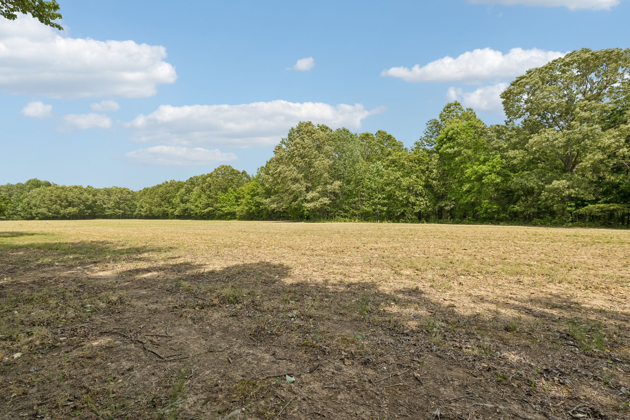 473 Hickory Corner Road Bethpage, TN 37022 - Photo 27 of 45 a view of lake and mountain
