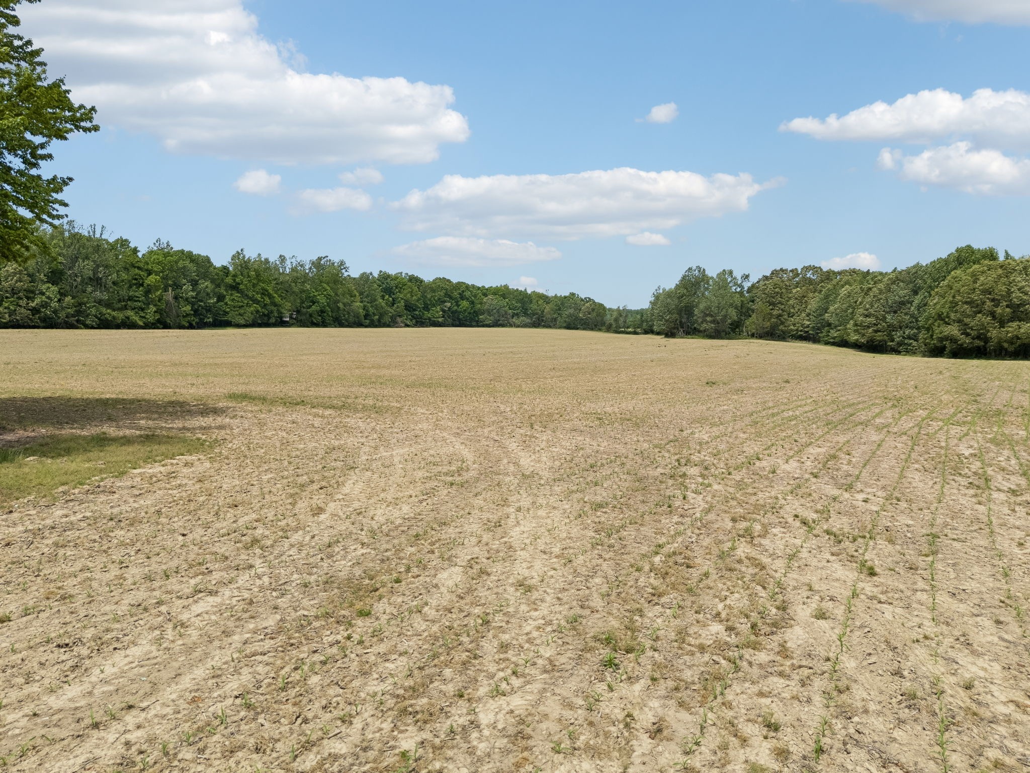 473 Hickory Corner Road Bethpage, TN 37022 - Photo 30 of 45 a view of an ocean