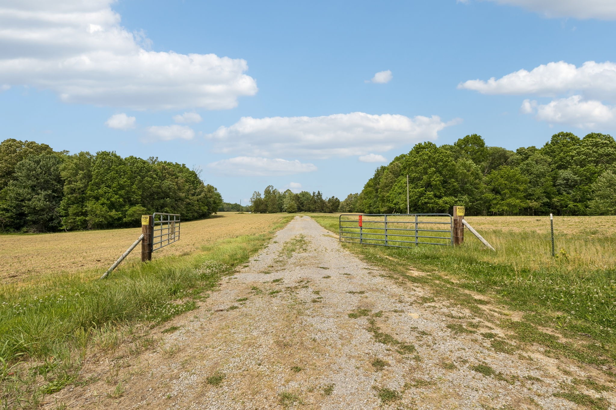 473 Hickory Corner Road Bethpage, TN 37022 - Photo 3 of 45