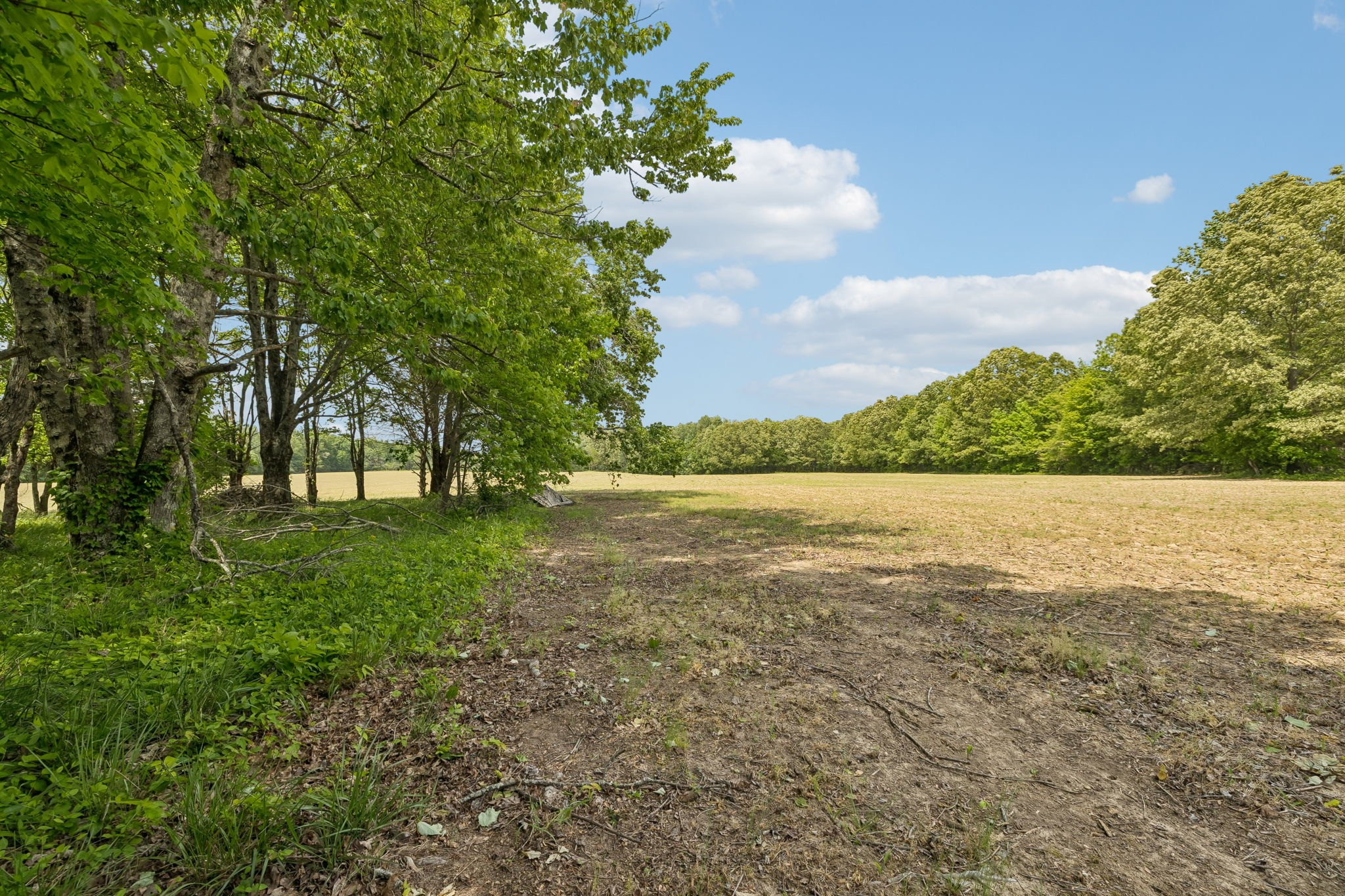 473 Hickory Corner Road Bethpage, TN 37022 - Photo 32 of 45 a view of lake with houses